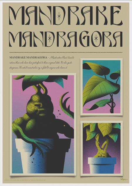 Harry Potter (Mandrake Mandragora) MightyPrint™ Wall Art MP17240897