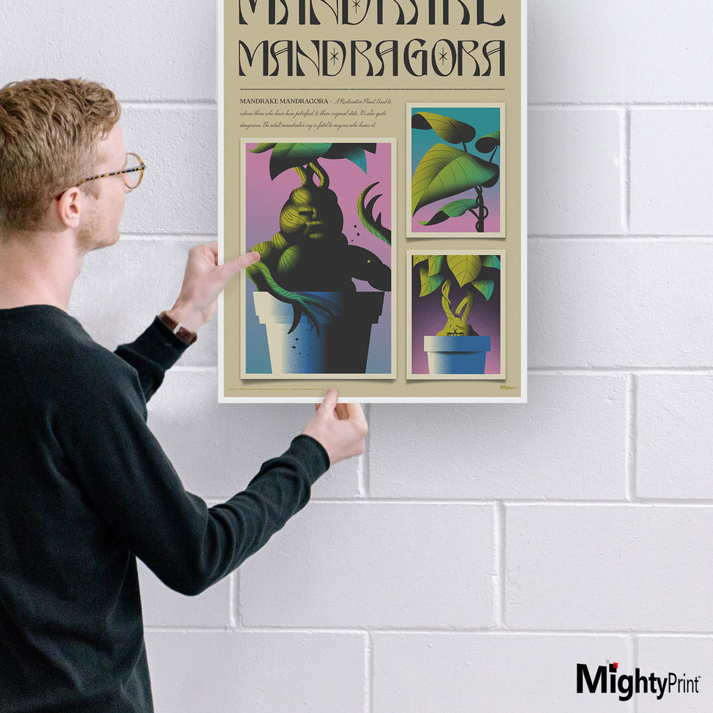 Harry Potter (Mandrake Mandragora) MightyPrint™ Wall Art MP17240897