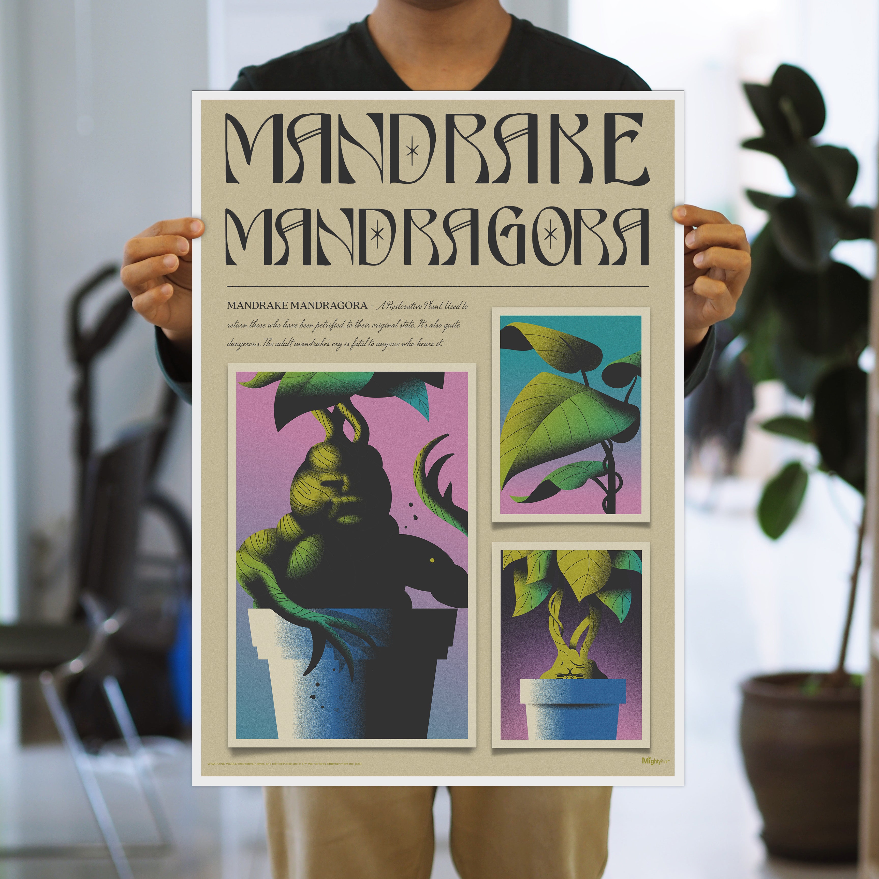 Harry Potter (Mandrake Mandragora) MightyPrint™ Wall Art MP17240897