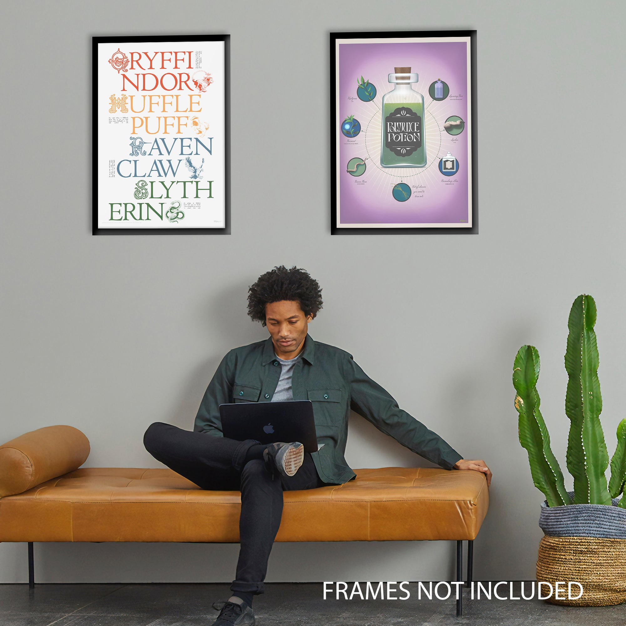 Harry Potter (Polyjuice Potion) MightyPrint™ Wall Art MP17240898