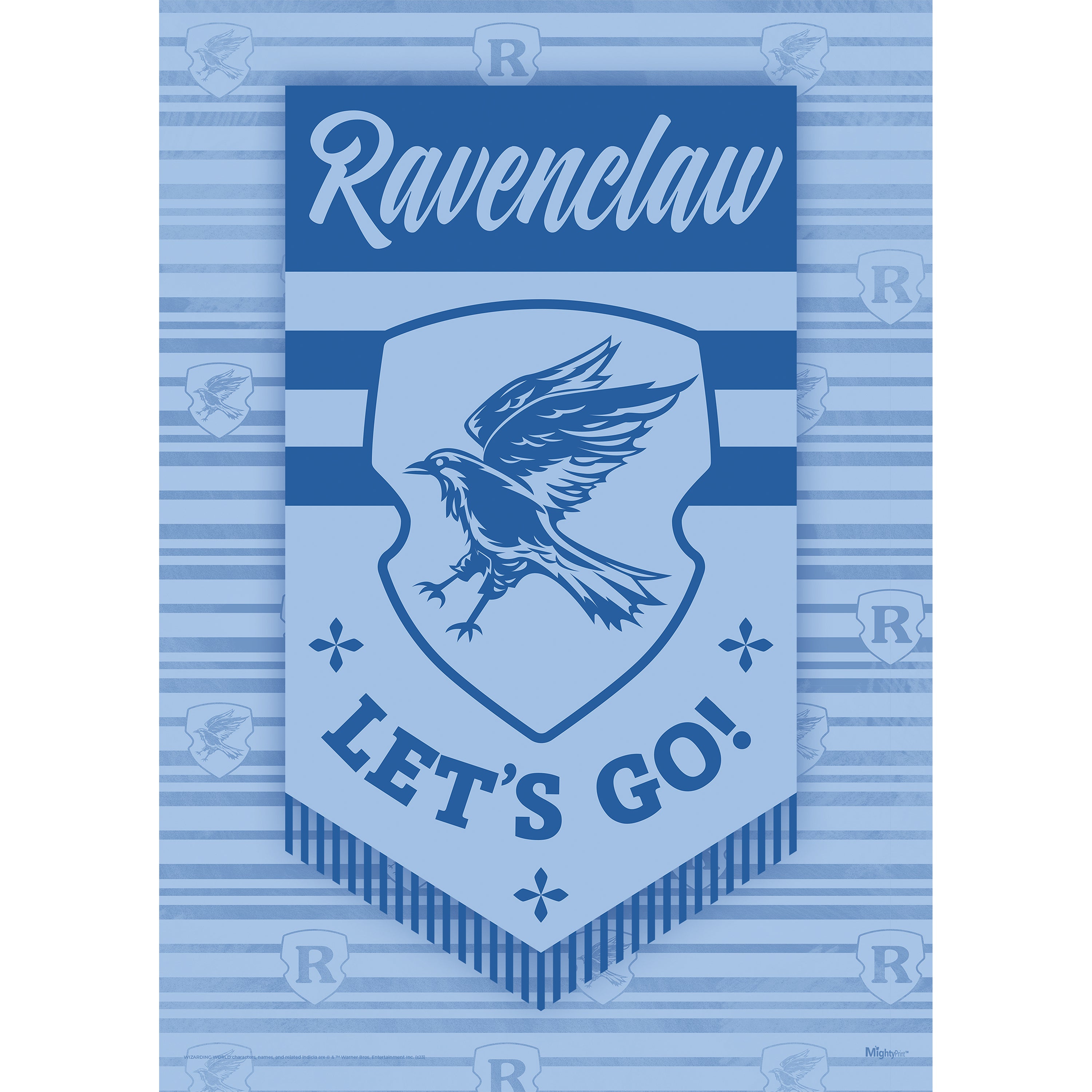 Harry Potter (Quidditch Ravenclaw House) MightyPrint™ Wall Art MP17240901