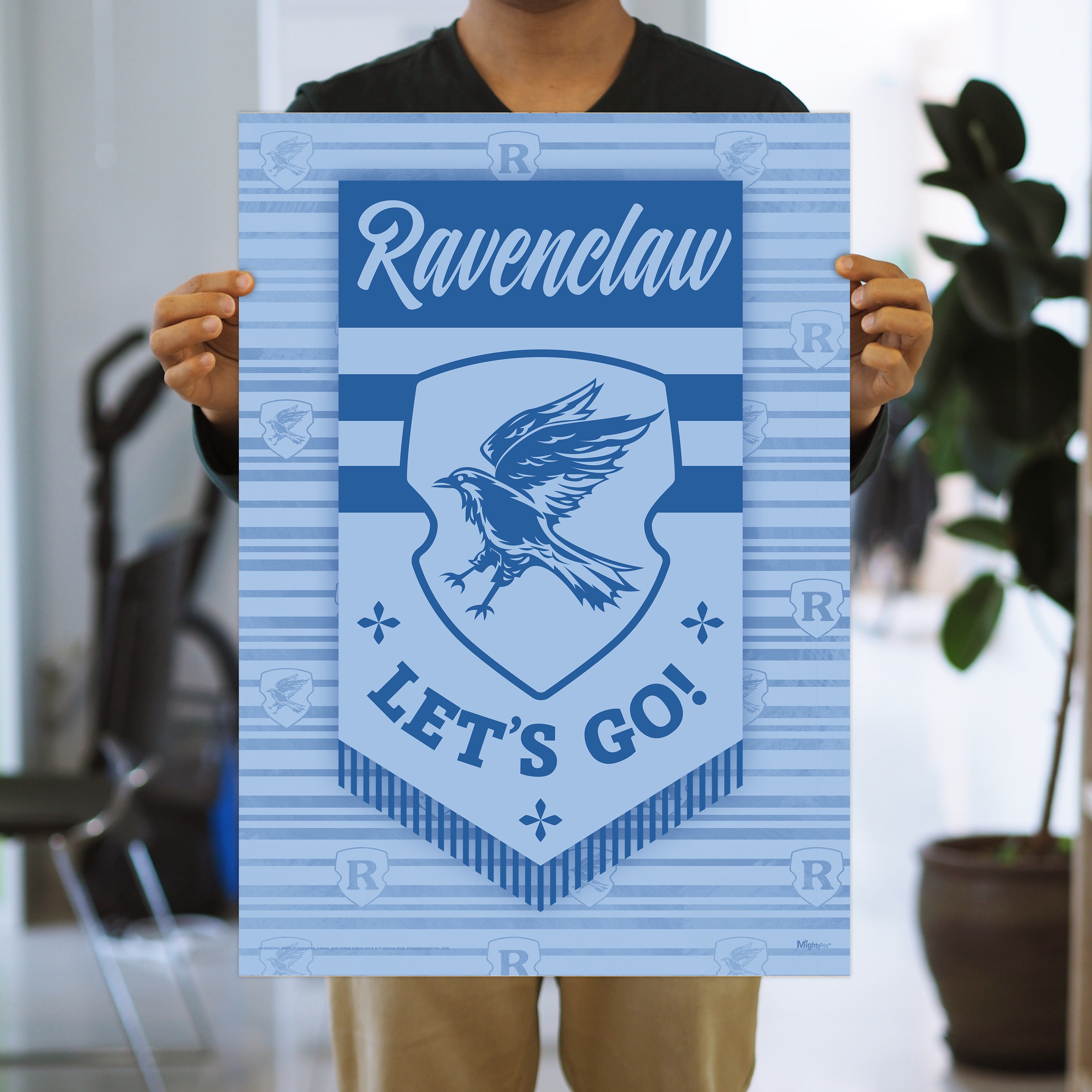 Harry Potter (Quidditch Ravenclaw House) MightyPrint™ Wall Art MP17240901
