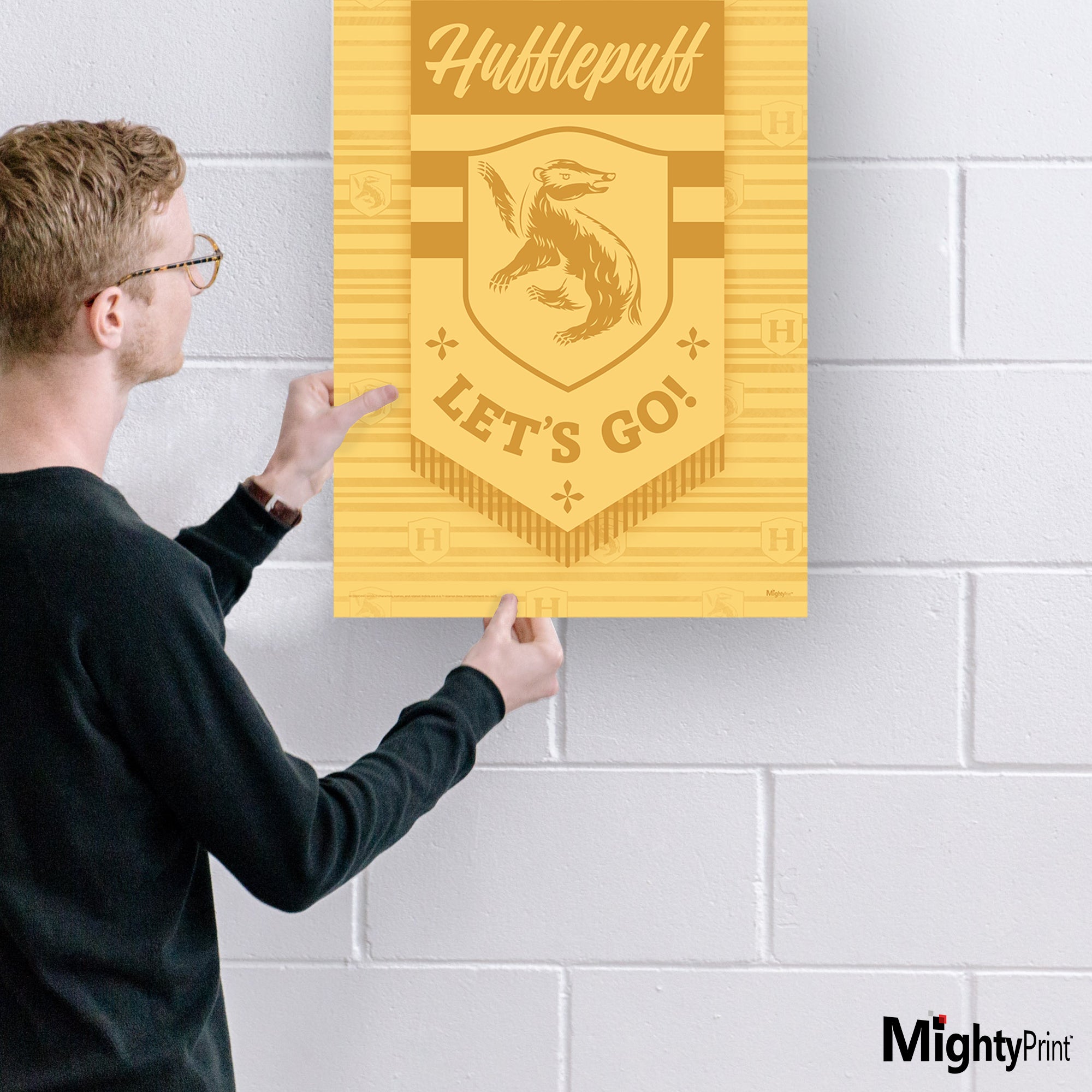 Harry Potter (Quidditch Hufflepuff House) MightyPrint™ Wall Art MP17240902