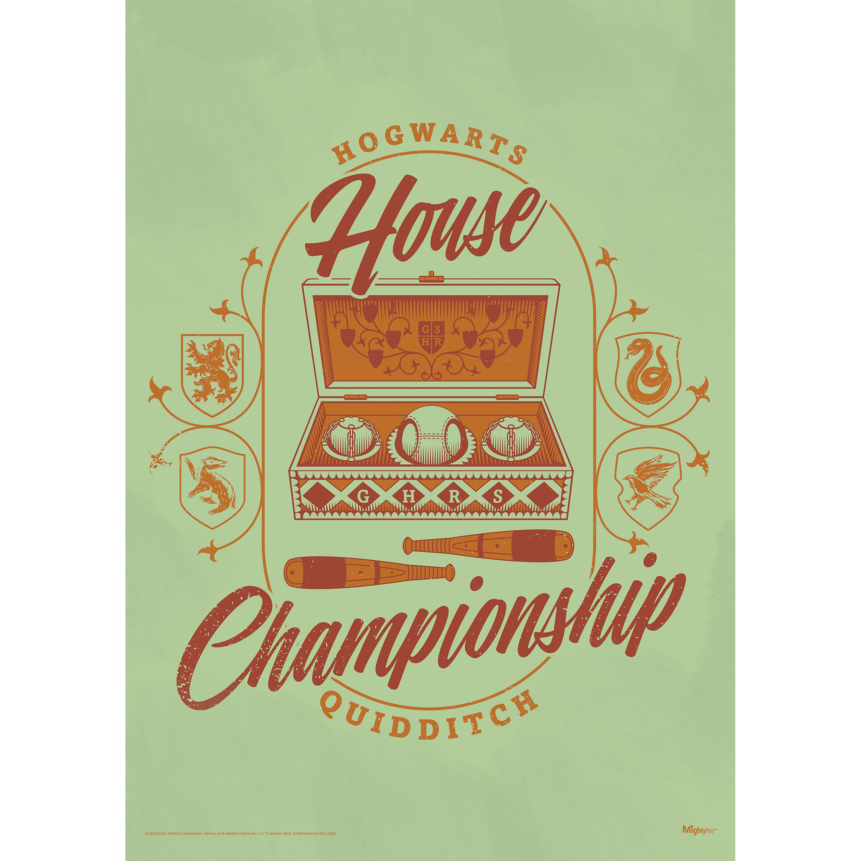 Harry Potter (Quidditch House Championship) MightyPrint™ Wall Art MP17240903