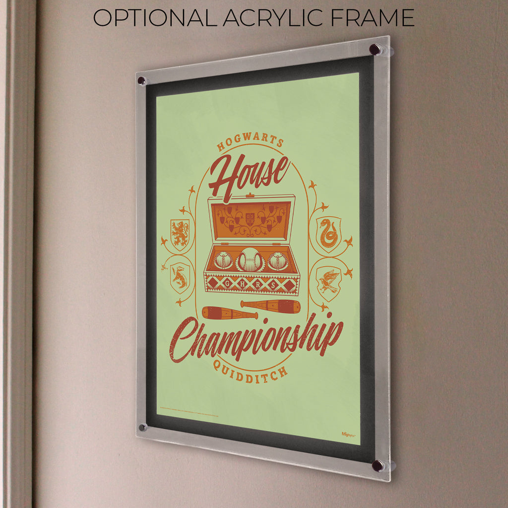 Harry Potter (Quidditch House Championship) MightyPrint™ Wall Art MP17240903