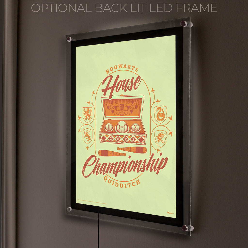 Harry Potter (Quidditch House Championship) MightyPrint™ Wall Art MP17240903