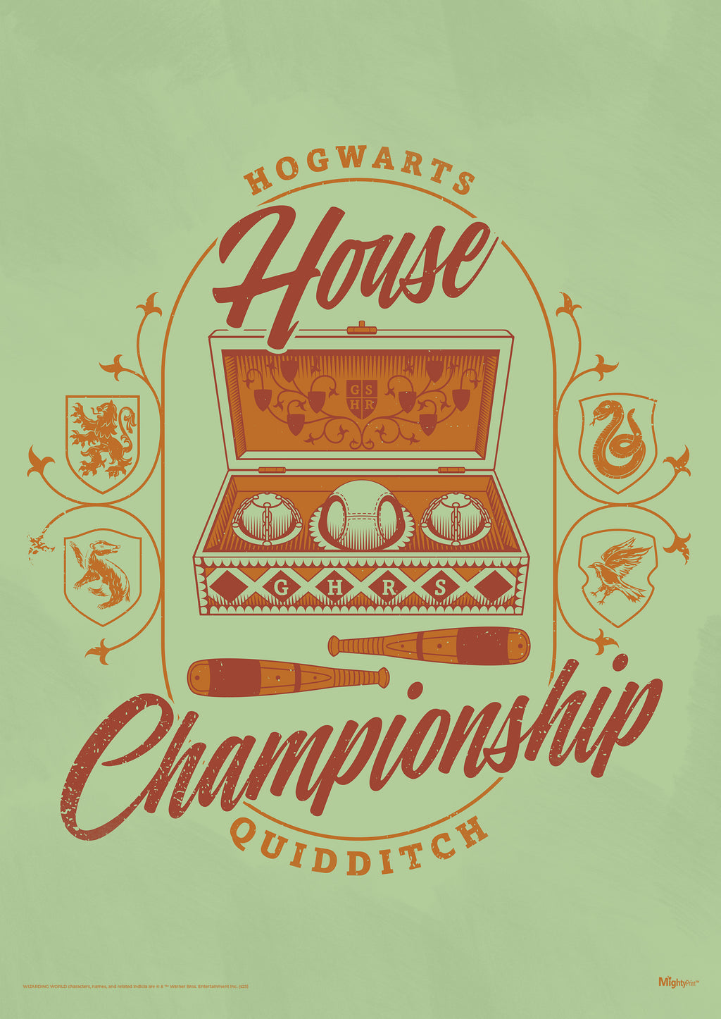 Harry Potter (Quidditch House Championship) MightyPrint™ Wall Art MP17240903