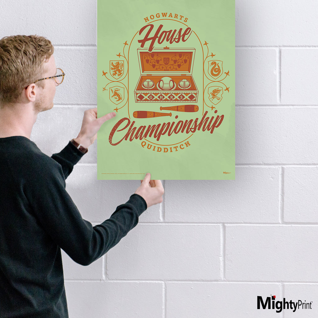 Harry Potter (Quidditch House Championship) MightyPrint™ Wall Art MP17240903