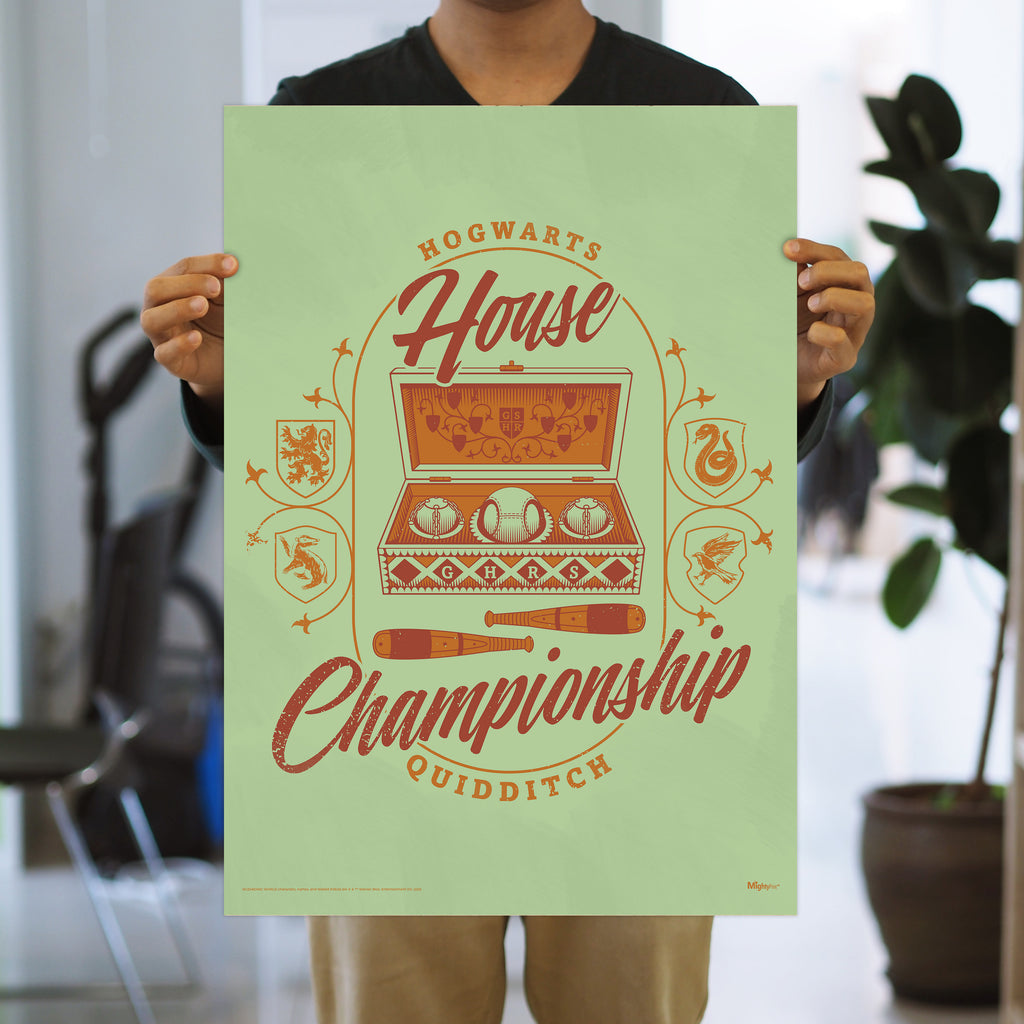 Harry Potter (Quidditch House Championship) MightyPrint™ Wall Art MP17240903