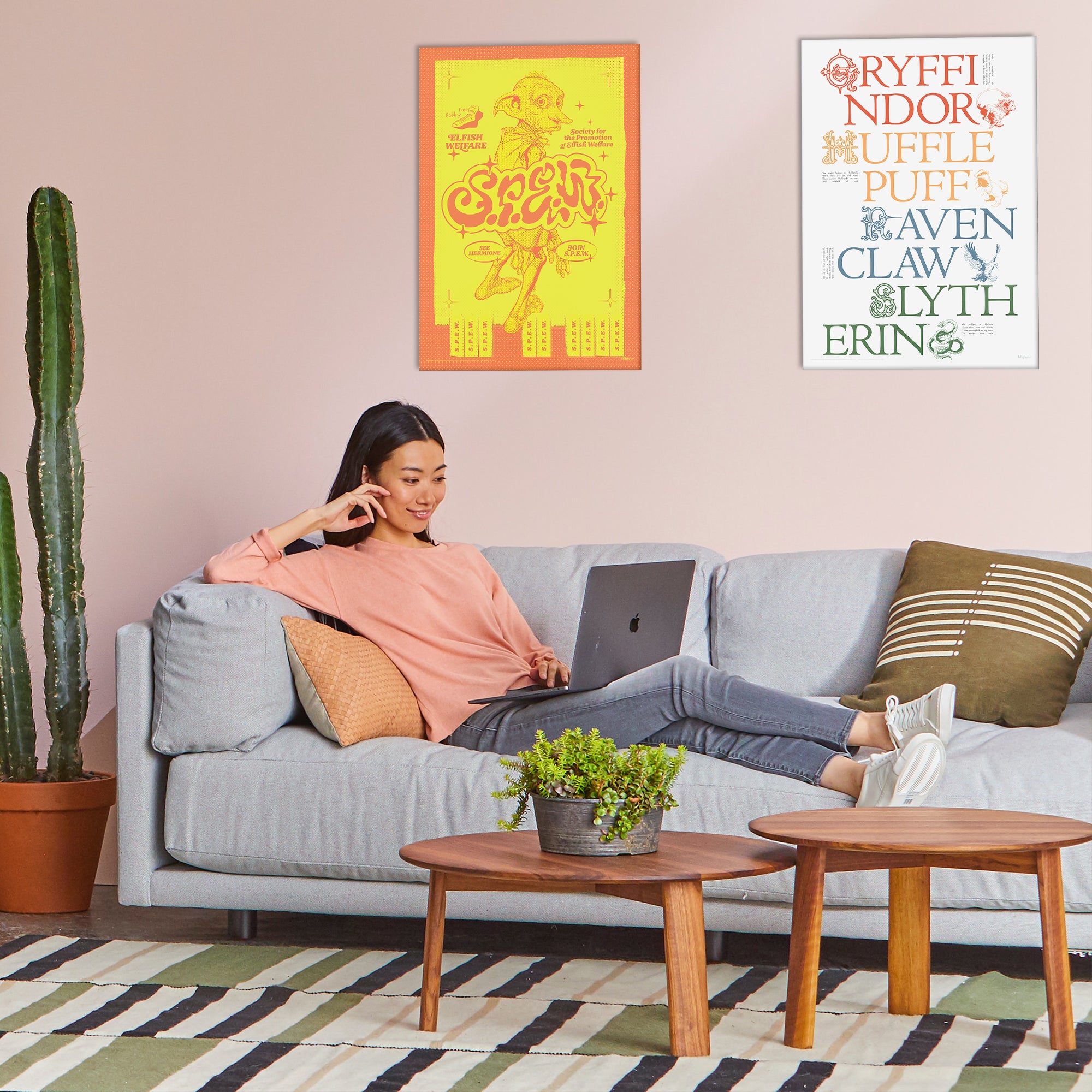 Harry Potter (S.P.E.W.) MightyPrint™ Wall Art MP17240905