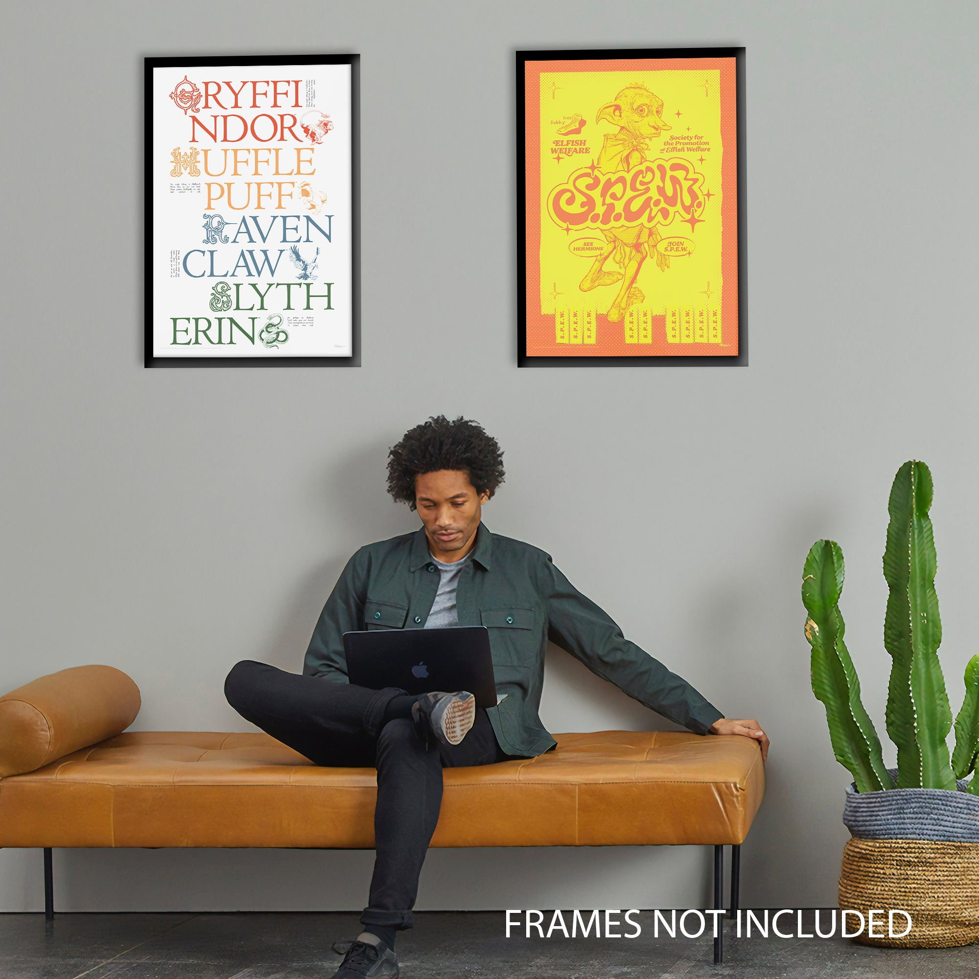 Harry Potter (S.P.E.W.) MightyPrint™ Wall Art MP17240905