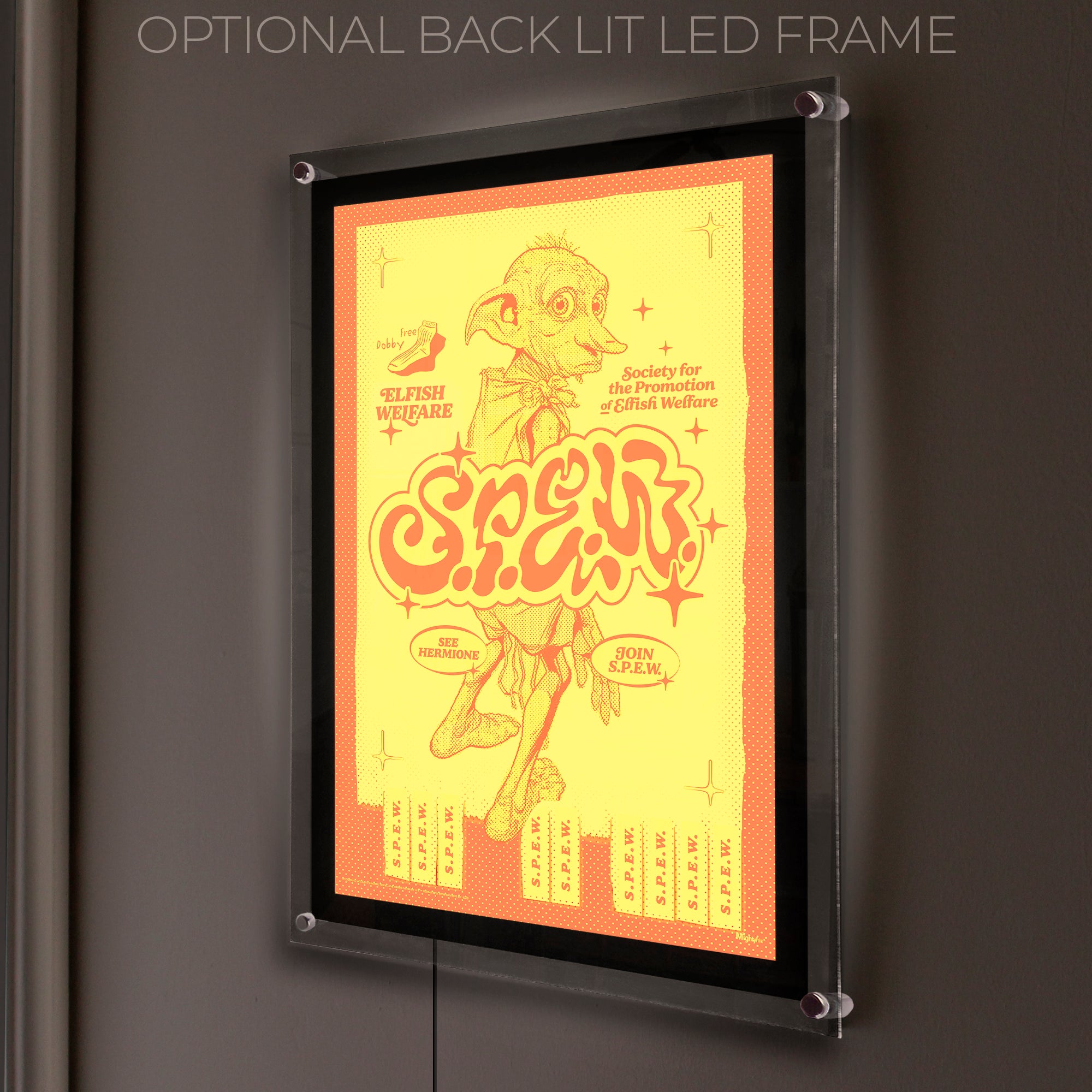 Harry Potter (S.P.E.W.) MightyPrint™ Wall Art MP17240905