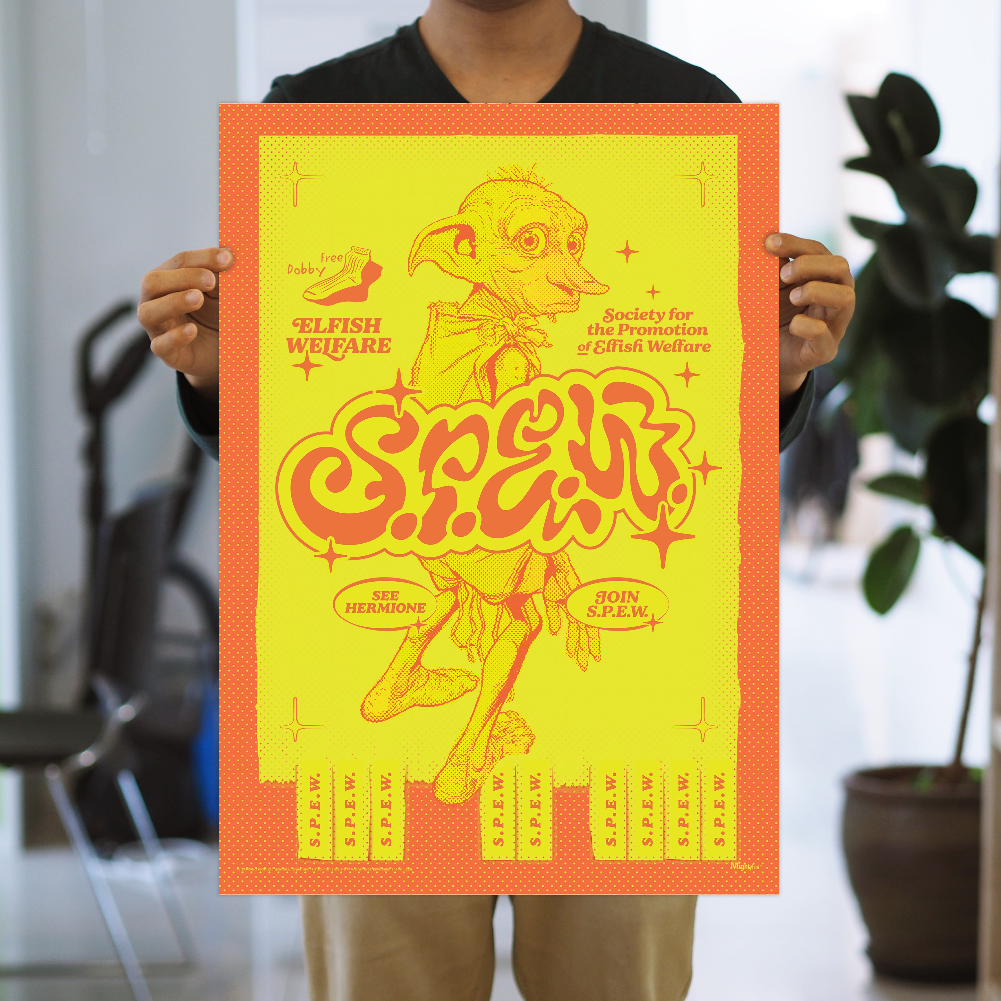 Harry Potter (S.P.E.W.) MightyPrint™ Wall Art MP17240905