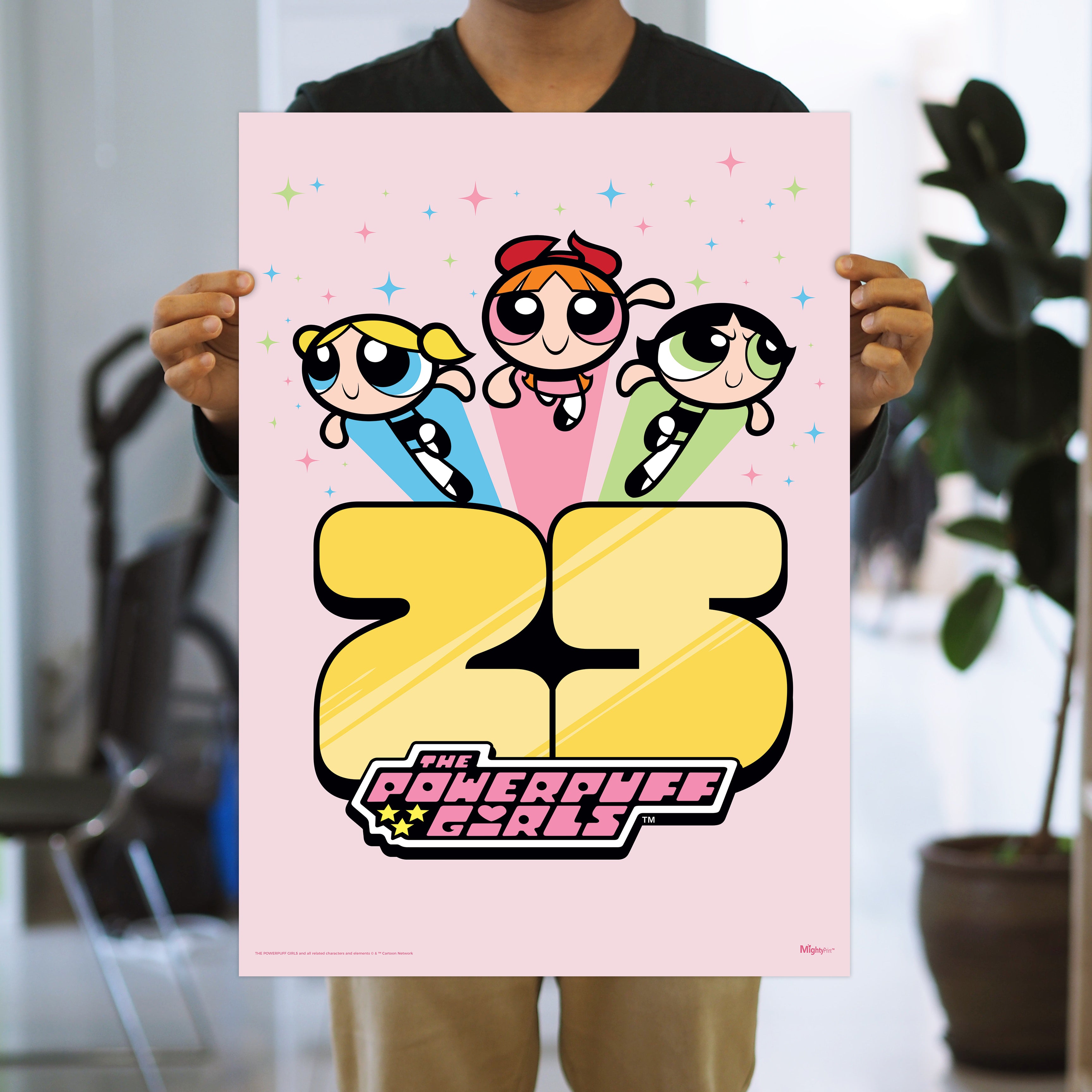 Powerpuff Girls (25th Anniversary) MightyPrint™ Wall Art MP17240918