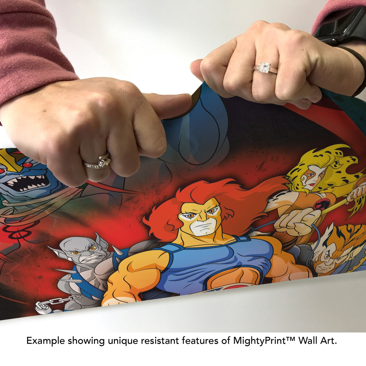 ThunderCats (Classic) MightyPrint™ Wall Art MP17240947