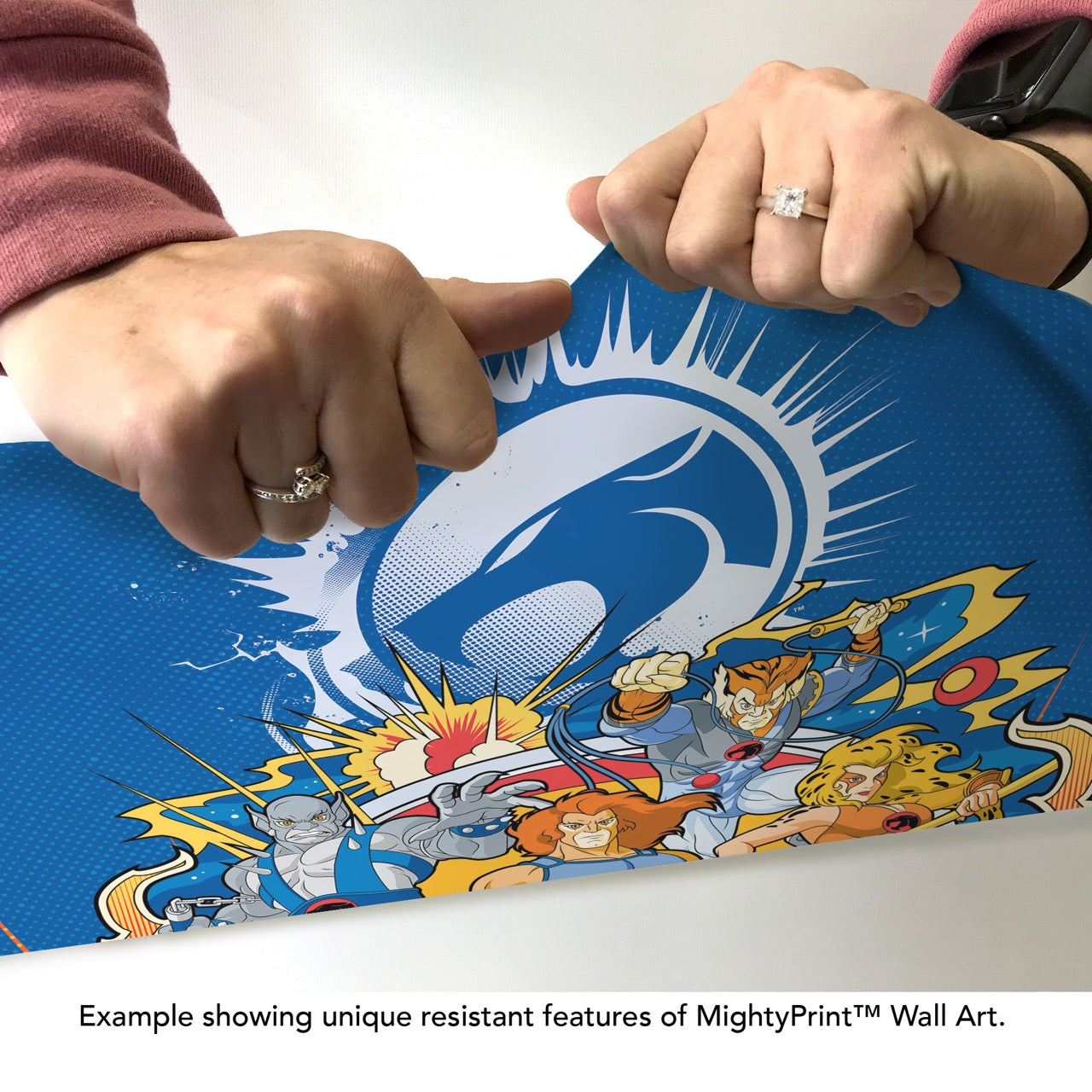 ThunderCats (Group) MightyPrint™ Wall Art MP17240948