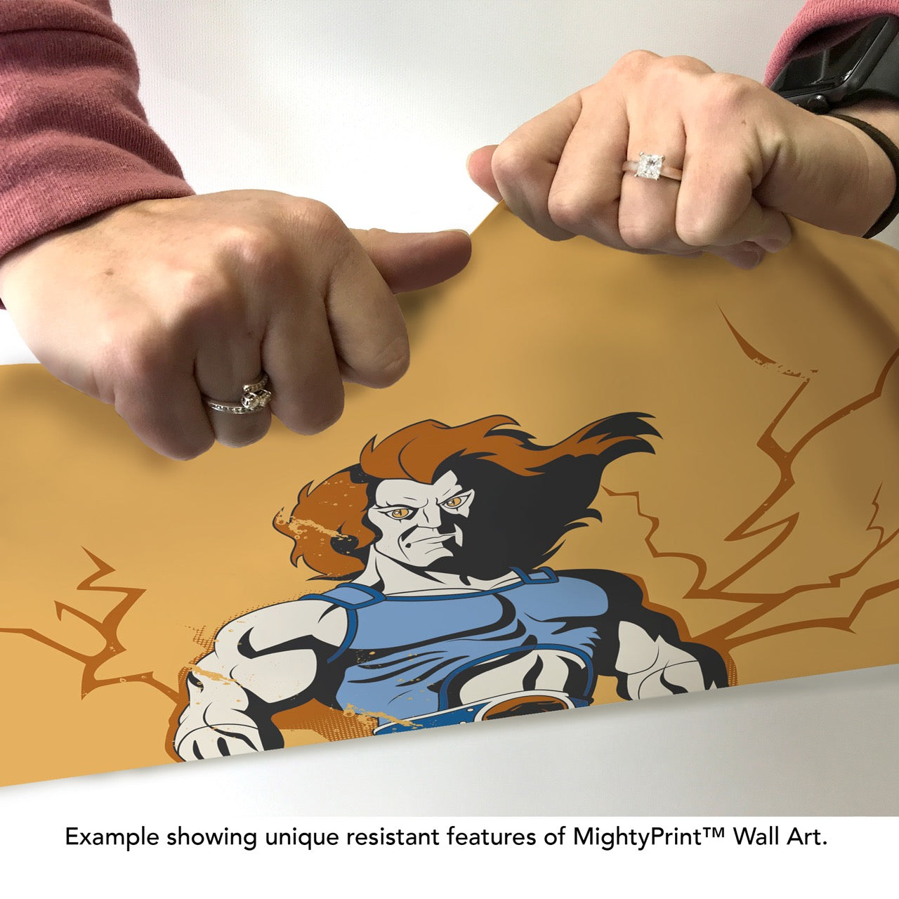 ThunderCats (Sword of Omens) MightyPrint™ Wall Art MP17240950