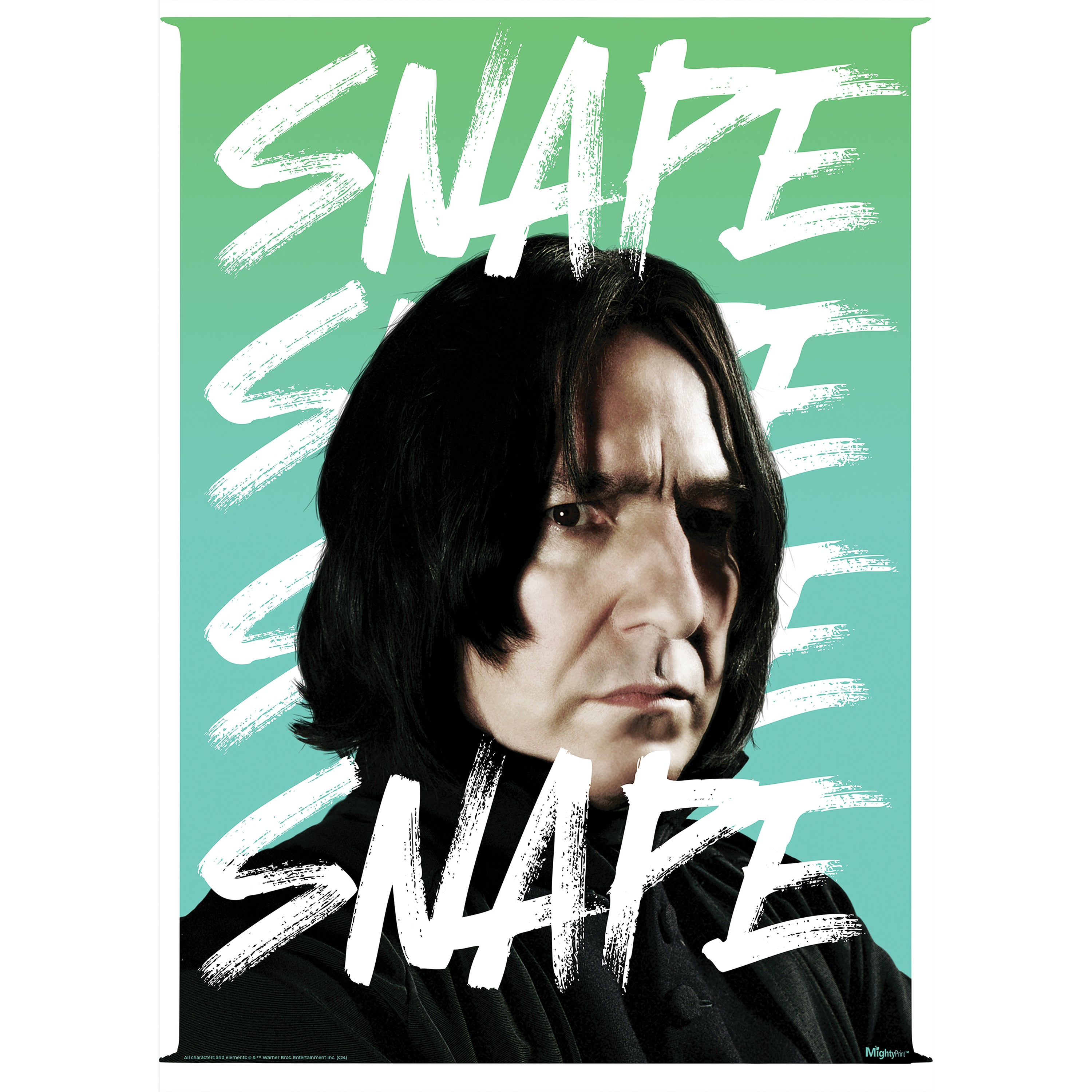 Harry Potter (Snape Snape Snape) MightyPrint™ Wall Art MP17240981