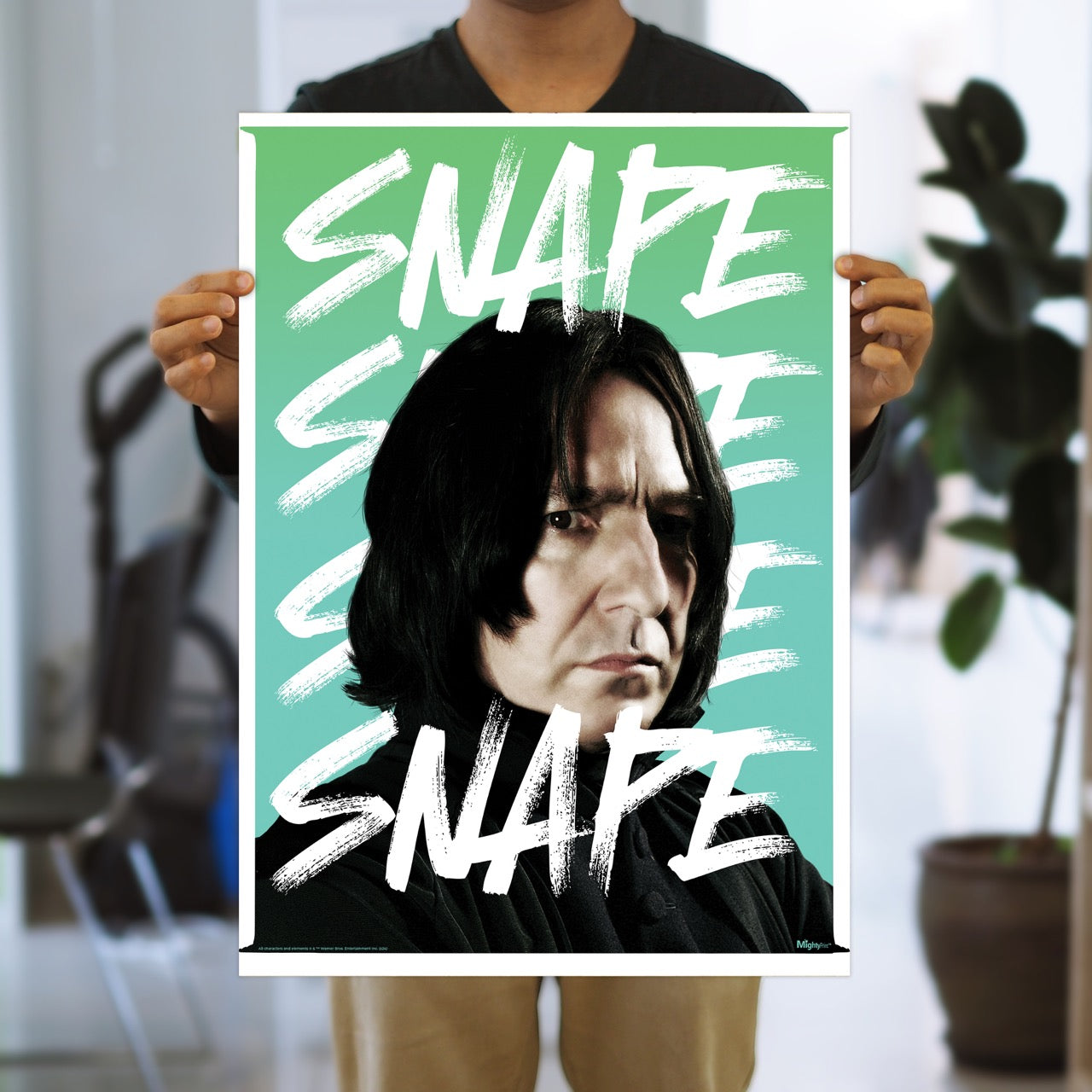Harry Potter (Snape Snape Snape) MightyPrint™ Wall Art MP17240981