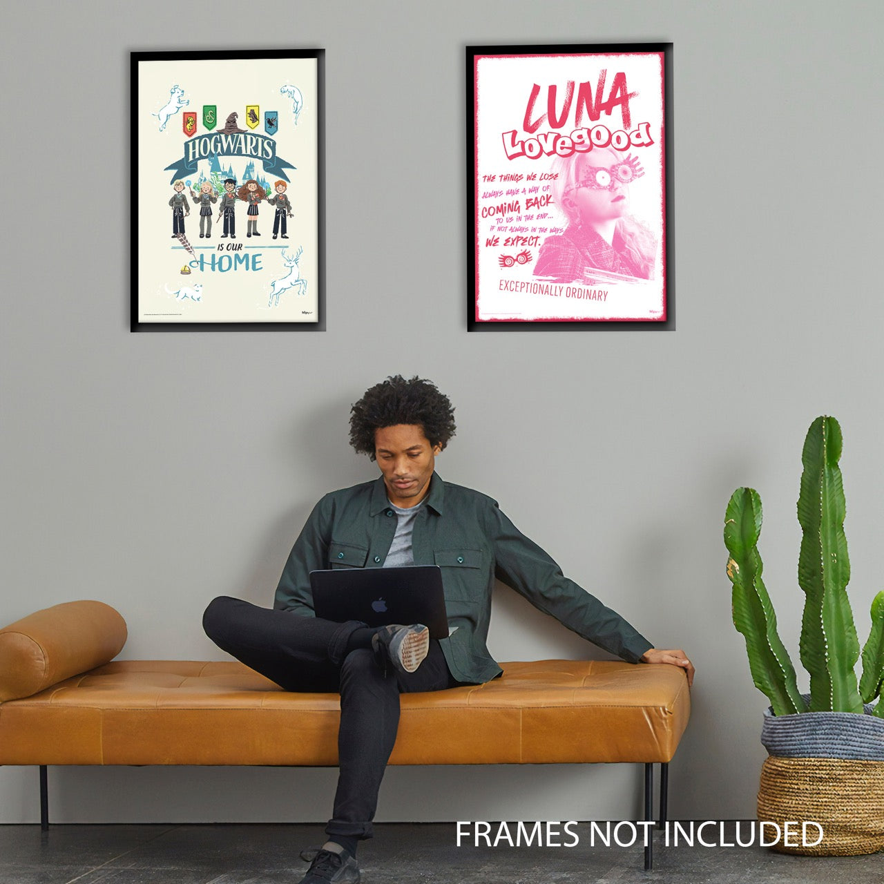 Harry Potter (Hogwarts is Our Home) MightyPrint™ Wall Art MP17240982