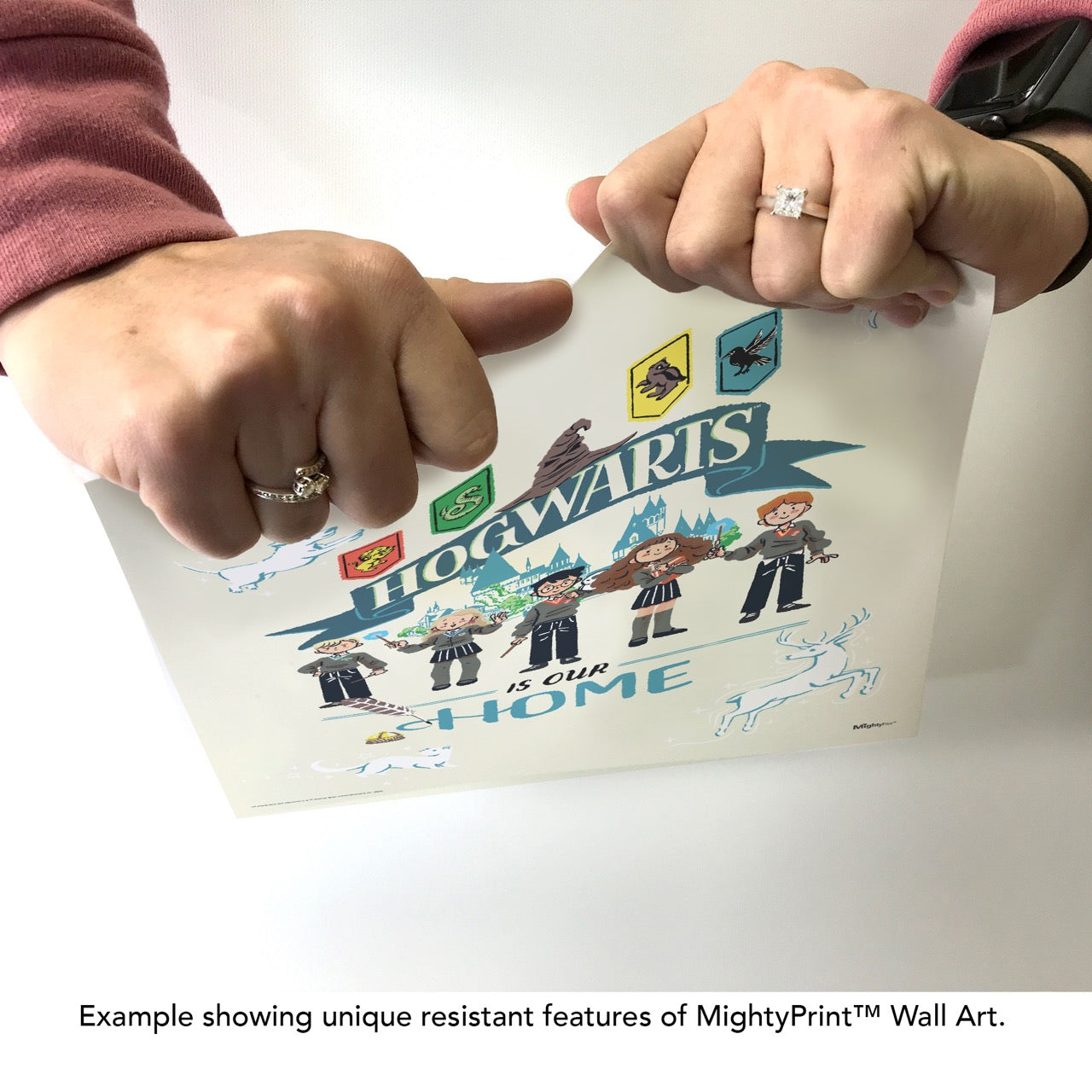 Harry Potter (Hogwarts is Our Home) MightyPrint™ Wall Art MP17240982