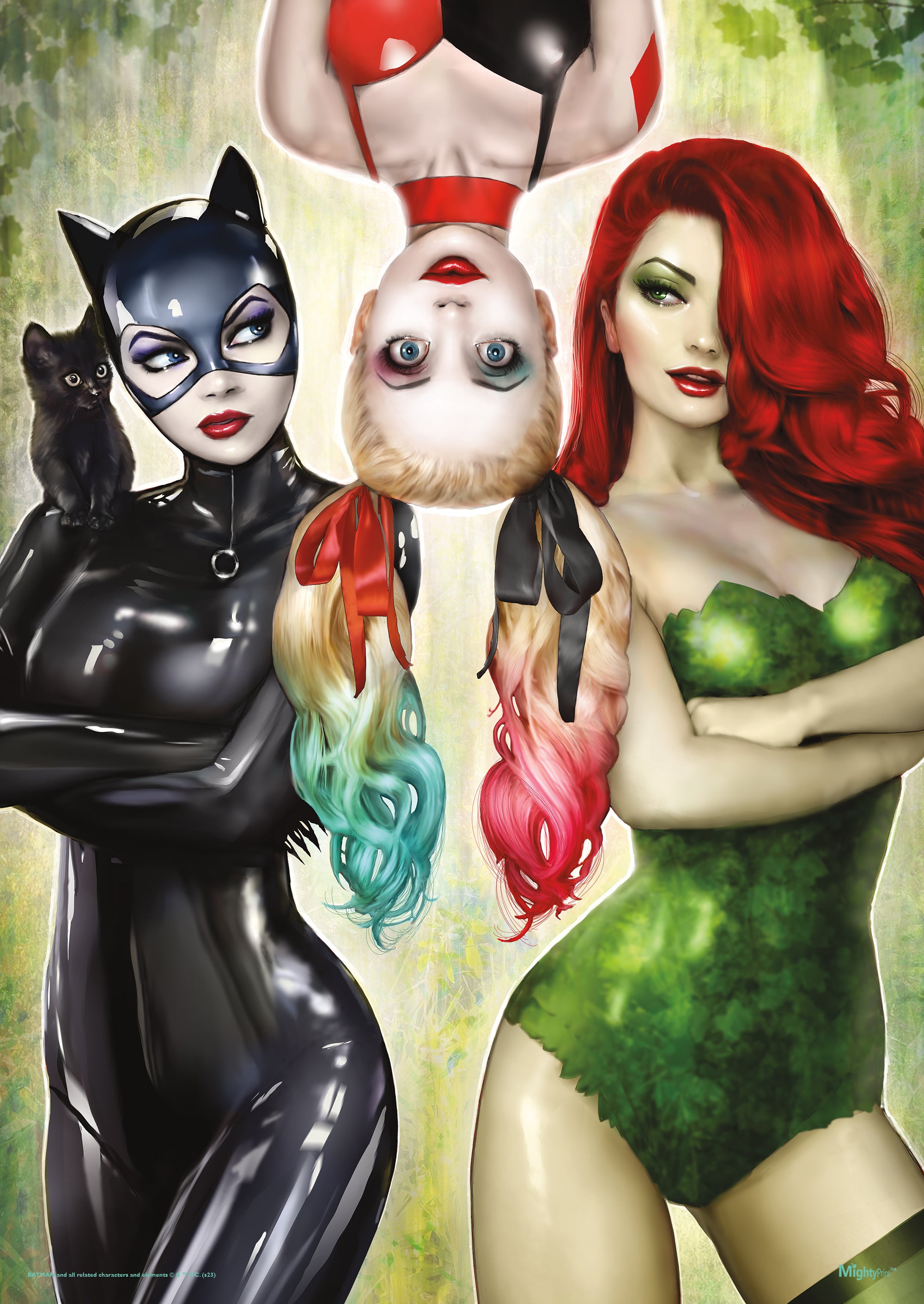 DC Comics (Catwoman No. 50 – Gotham City Sirens) MightyPrint™ Wall Art MP17240986