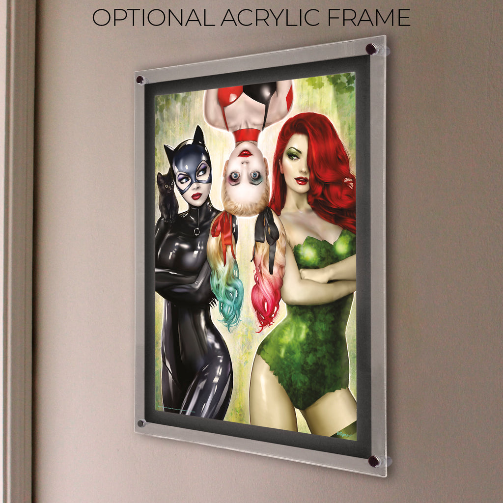 DC Comics (Catwoman No. 50 - Gotham City Sirens) MightyPrint™ Wall Art MP17240986