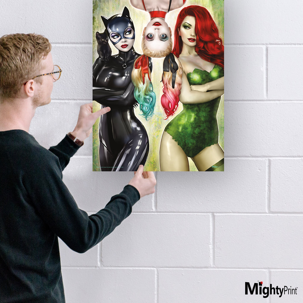 DC Comics (Catwoman No. 50 - Gotham City Sirens) MightyPrint™ Wall Art MP17240986