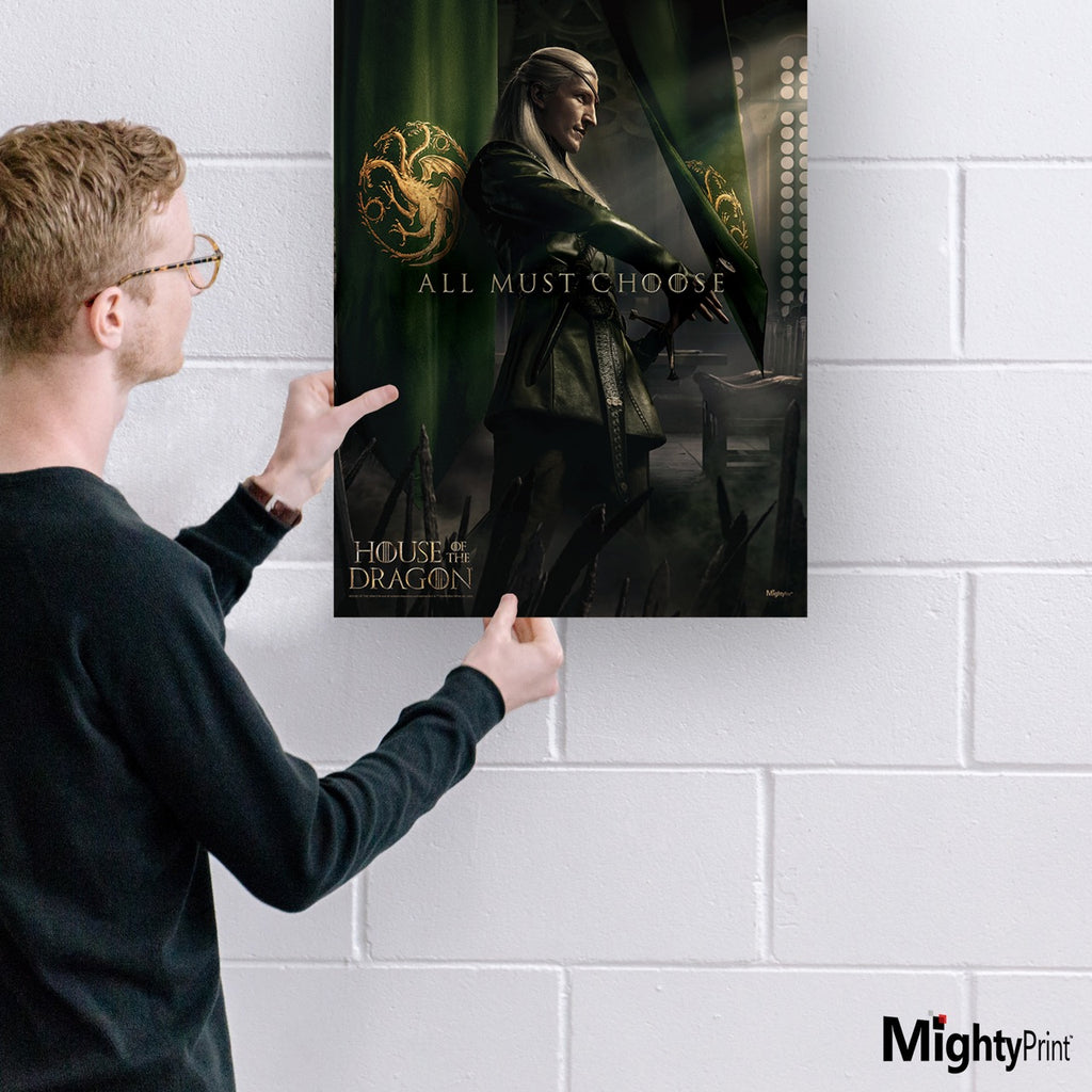 House of the Dragon (Aemond Targaryen) MightyPrint™ Wall Art MP17241003