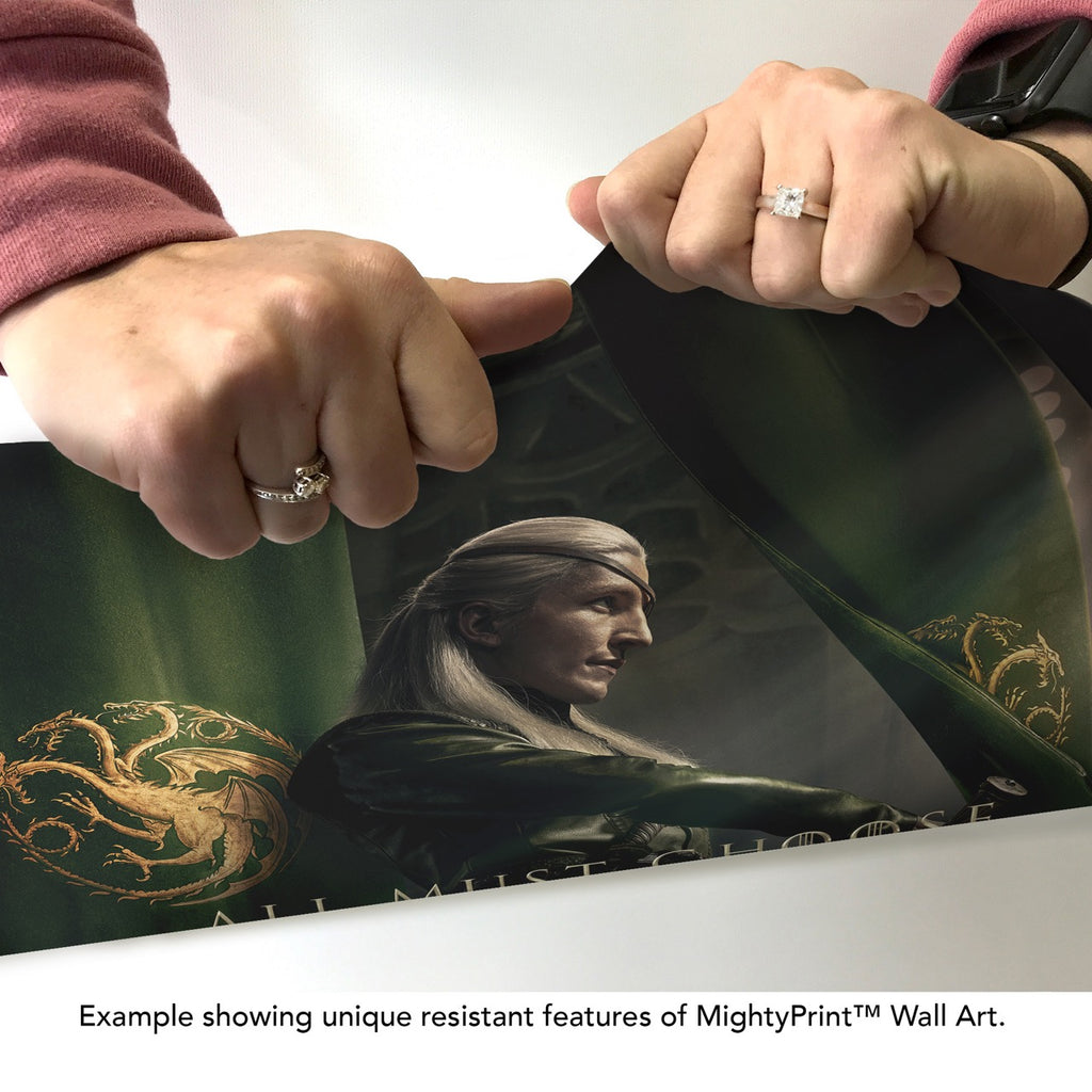 House of the Dragon (Aemond Targaryen) MightyPrint™ Wall Art MP17241003