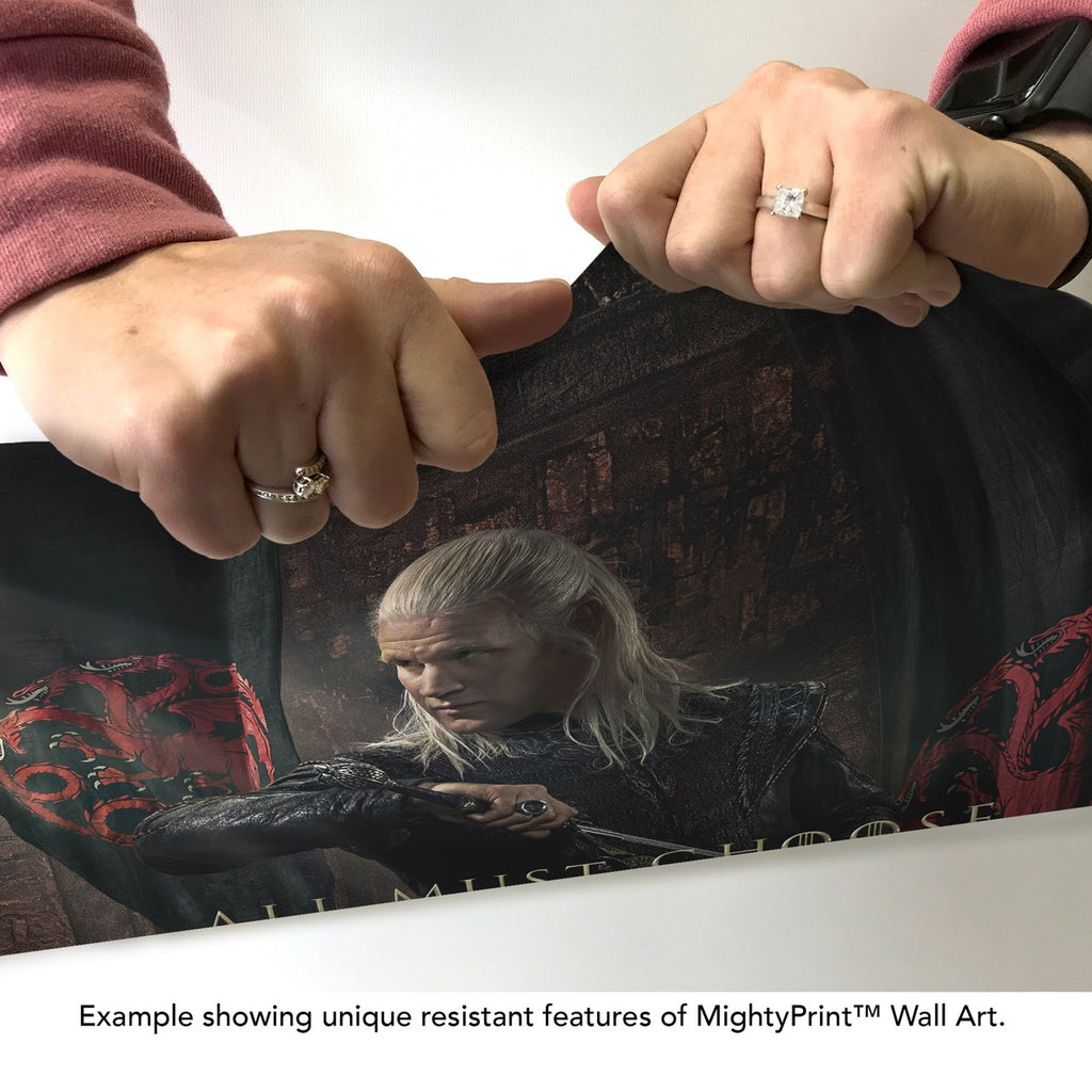 House of the Dragon (Daemon Targaryen) MightyPrint™ Wall Art MP17241006