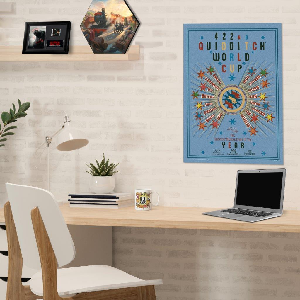 Harry Potter (Quidditch World Cup) MightyPrint™ Wall Art MP17241057