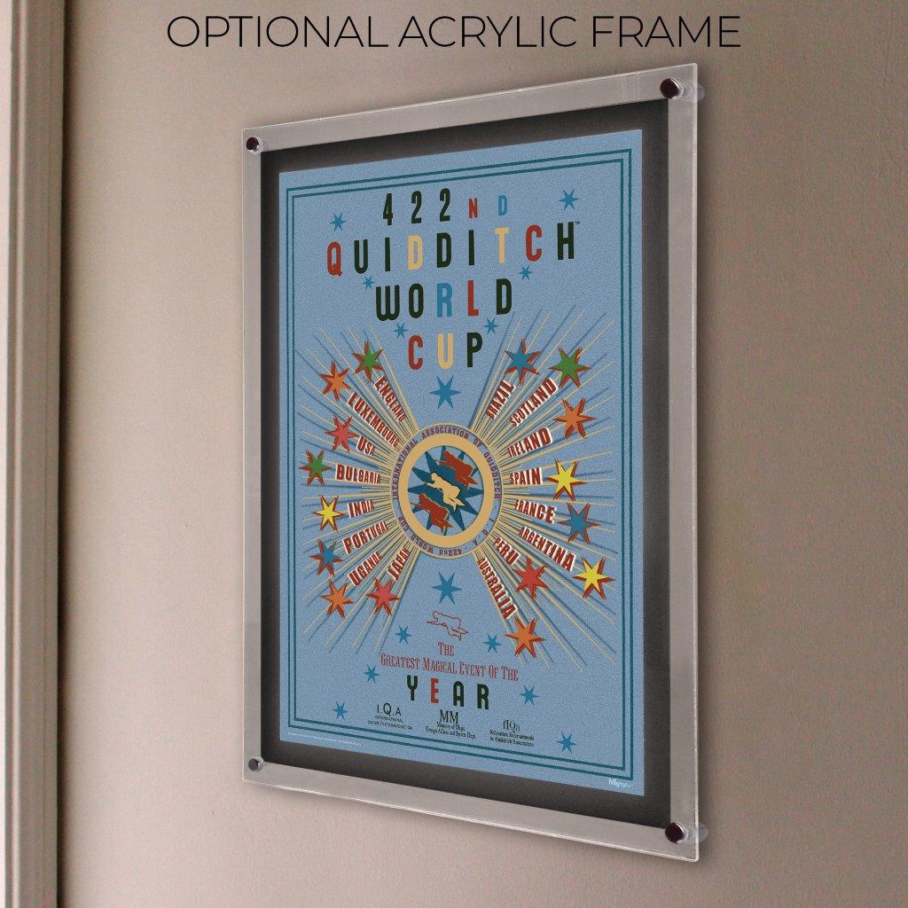 Harry Potter (Quidditch World Cup) MightyPrint™ Wall Art MP17241057