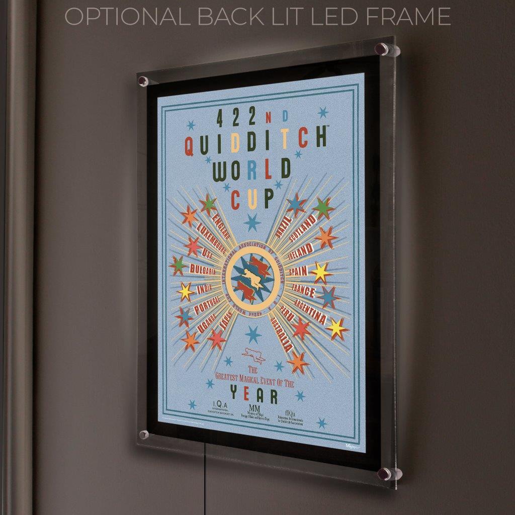 Harry Potter (Quidditch World Cup) MightyPrint™ Wall Art MP17241057