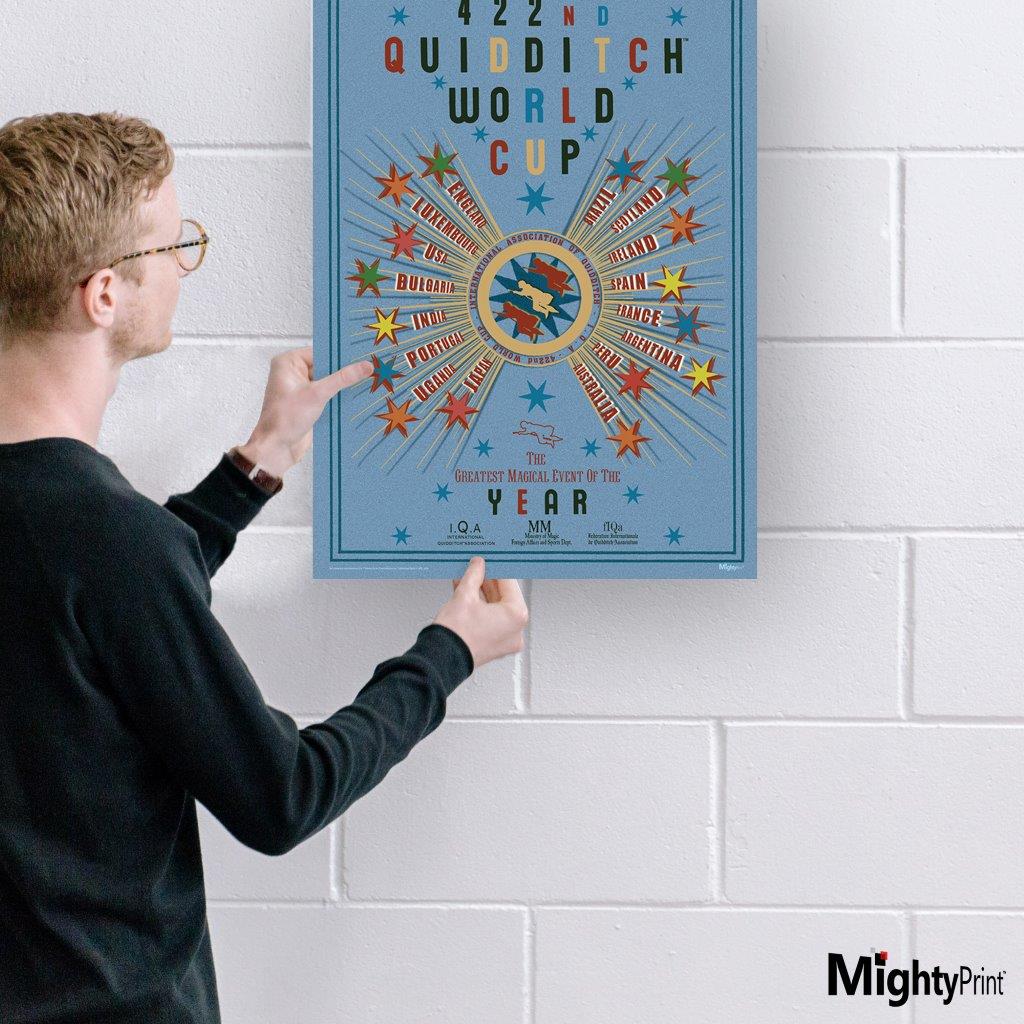 Harry Potter (Quidditch World Cup) MightyPrint™ Wall Art MP17241057