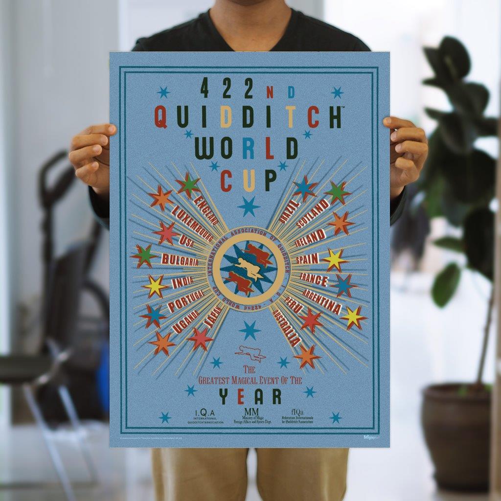 Harry Potter (Quidditch World Cup) MightyPrint™ Wall Art MP17241057