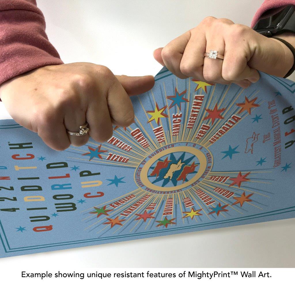 Harry Potter (Quidditch World Cup) MightyPrint™ Wall Art MP17241057