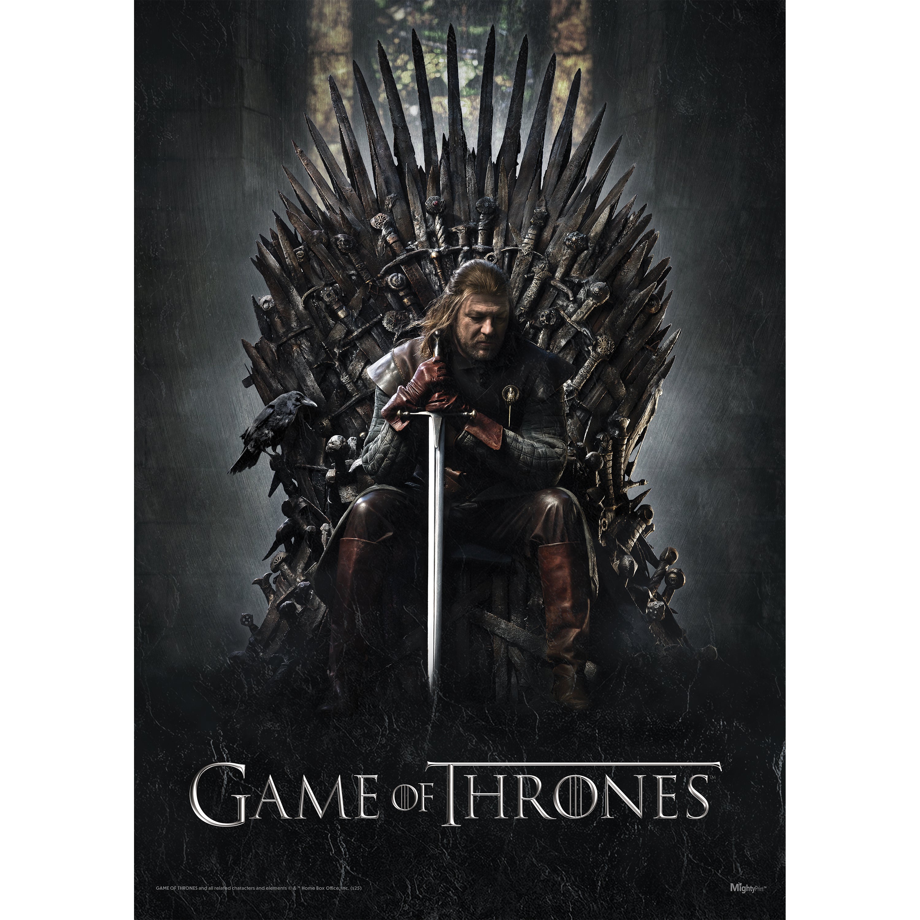 Game of Thrones (Ned Stark & The Iron Throne) MightyPrint™ Wall Art MP17241103
