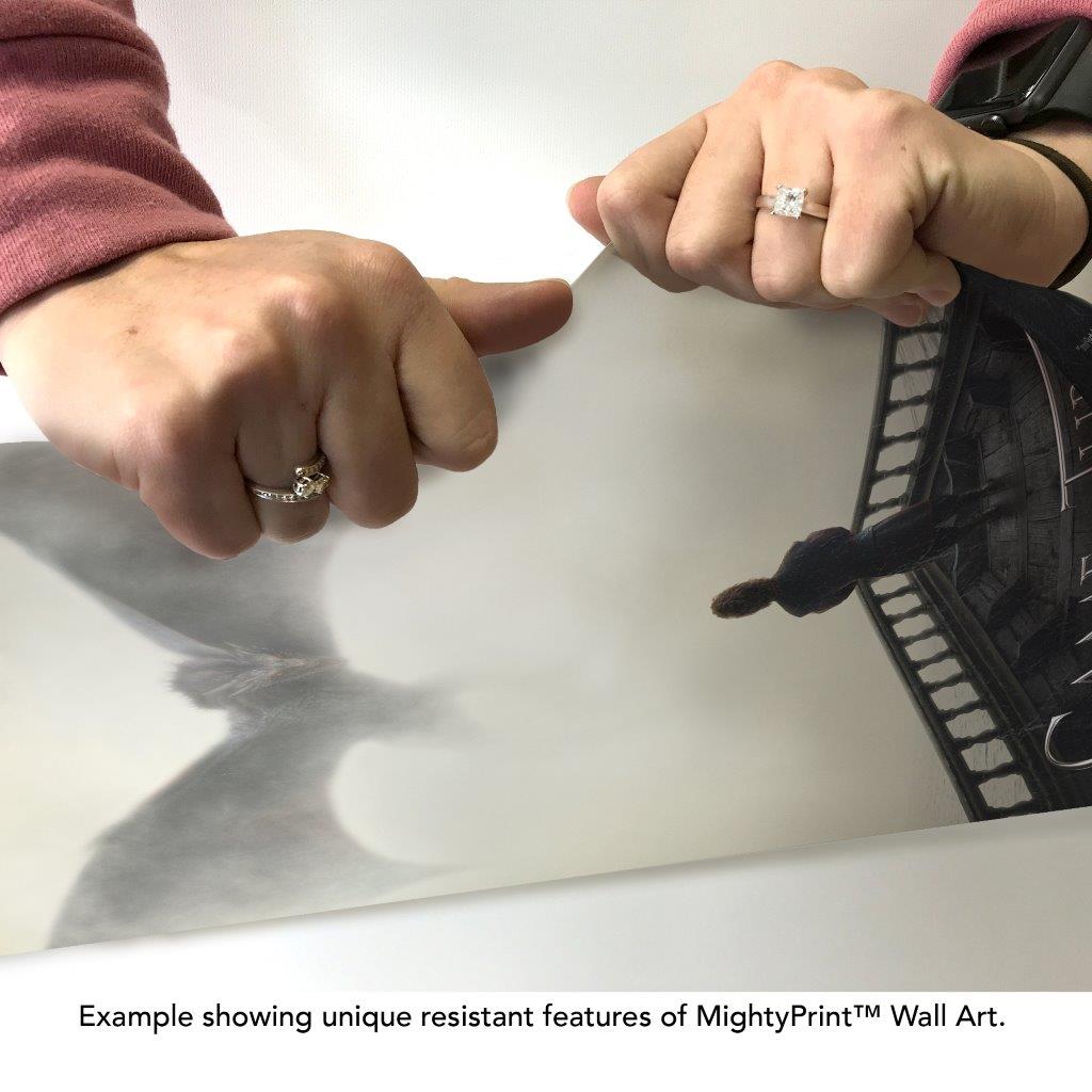 Game of Thrones (Tyrion’s Voyage) MightyPrint™ Wall Art MP17241105