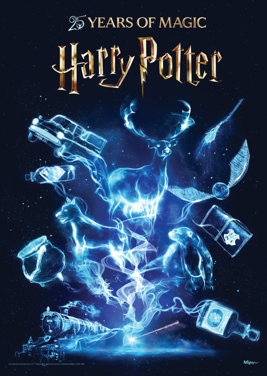 Harry Potter (25 Years of Magic) MightyPrint™ Wall Art MP17241114