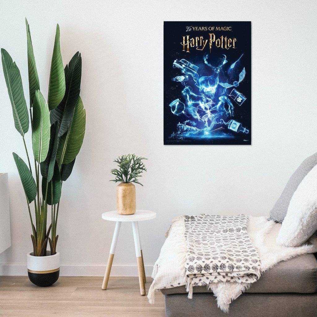 Harry Potter (25 Years of Magic) MightyPrint™ Wall Art MP17241114
