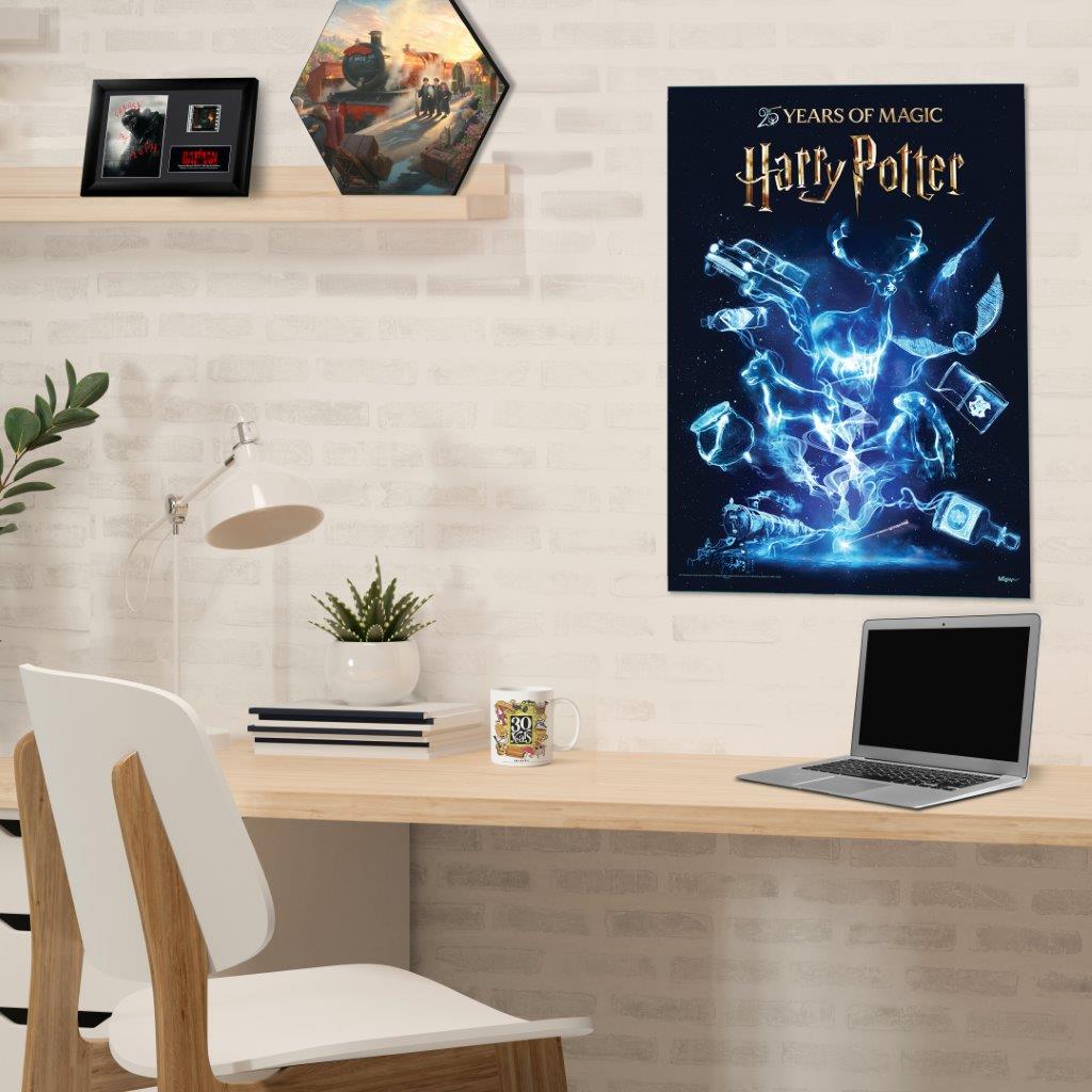 Harry Potter (25 Years of Magic) MightyPrint™ Wall Art MP17241114