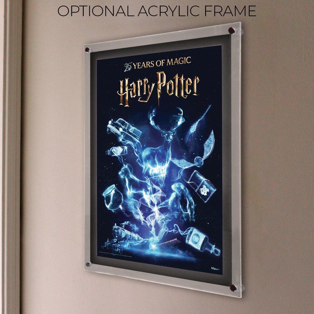 Harry Potter (25 Years of Magic) MightyPrint™ Wall Art MP17241114
