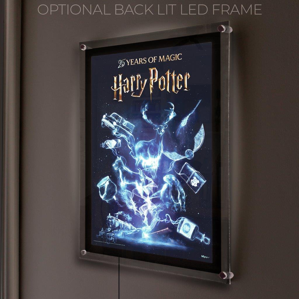Harry Potter (25 Years of Magic) MightyPrint™ Wall Art MP17241114