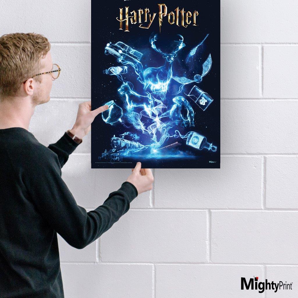 Harry Potter (25 Years of Magic) MightyPrint™ Wall Art MP17241114