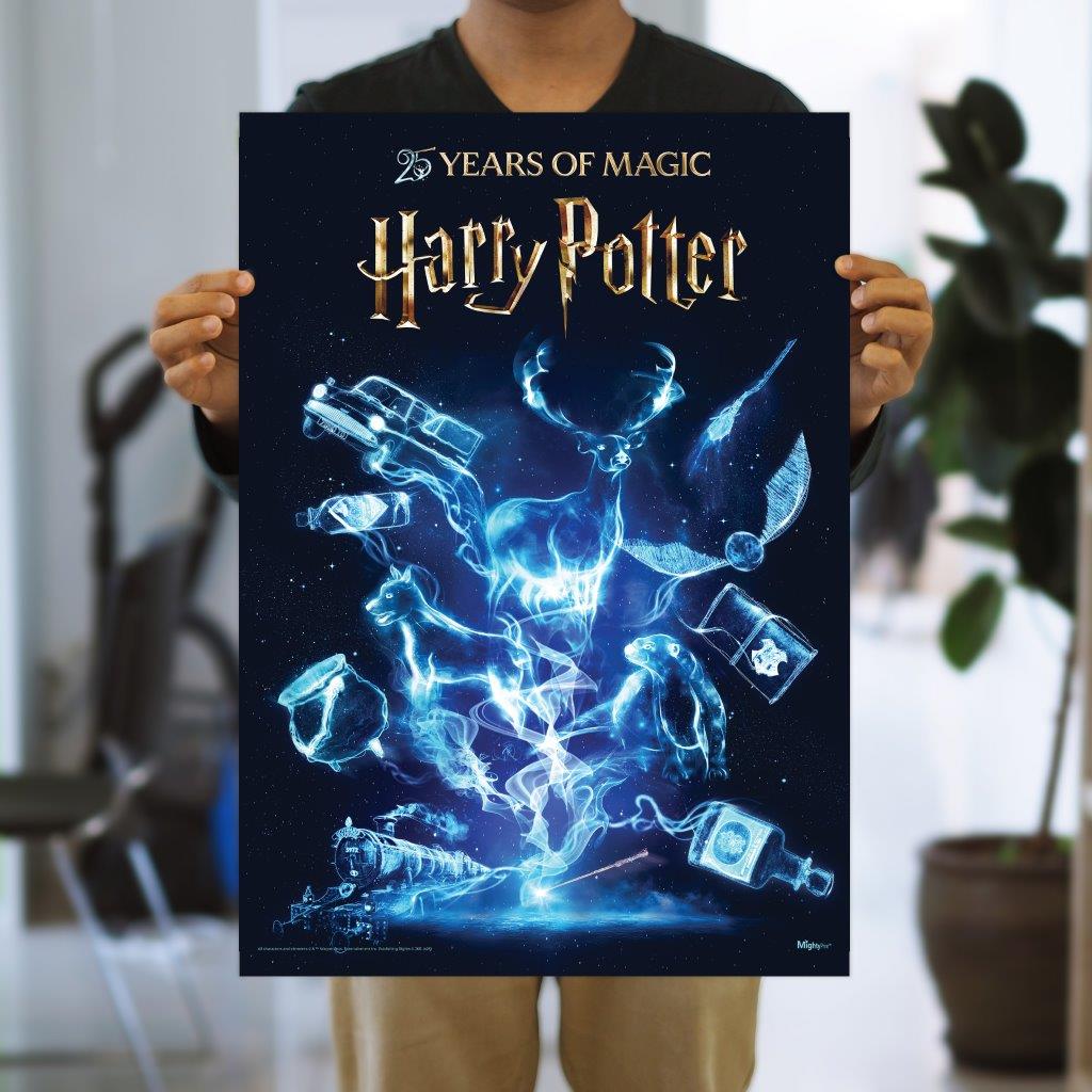 Harry Potter (25 Years of Magic) MightyPrint™ Wall Art MP17241114