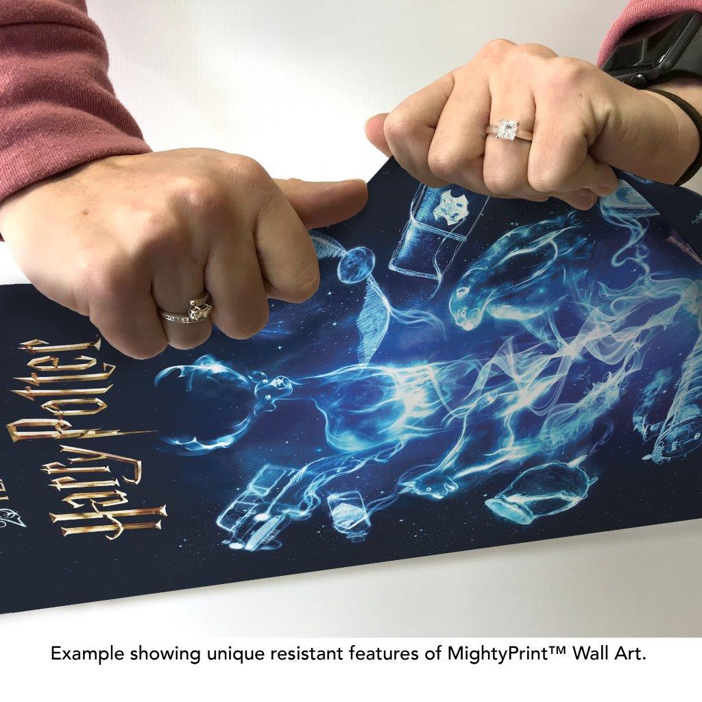 Harry Potter (25 Years of Magic) MightyPrint™ Wall Art MP17241114