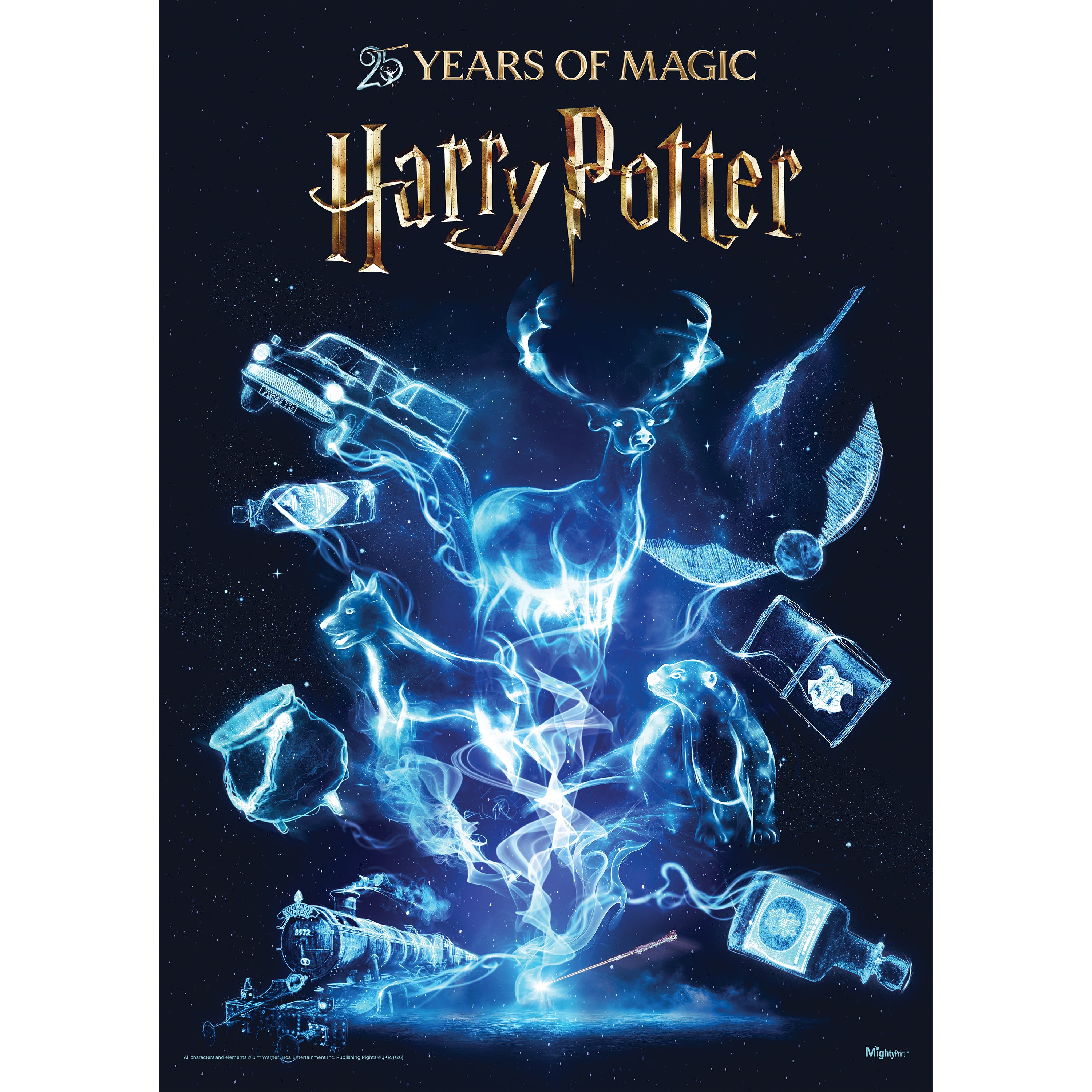 Harry Potter (25 Years of Magic) MightyPrint™ Wall Art MP17241114