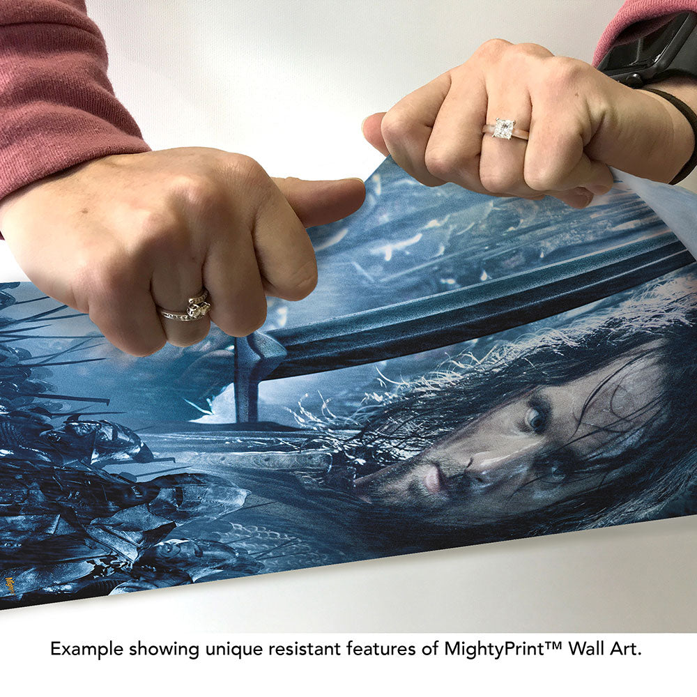 The Lord of the Rings: The Fellowship of the Ring (Aragorn) MightyPrint™ Wall Art MP17241139