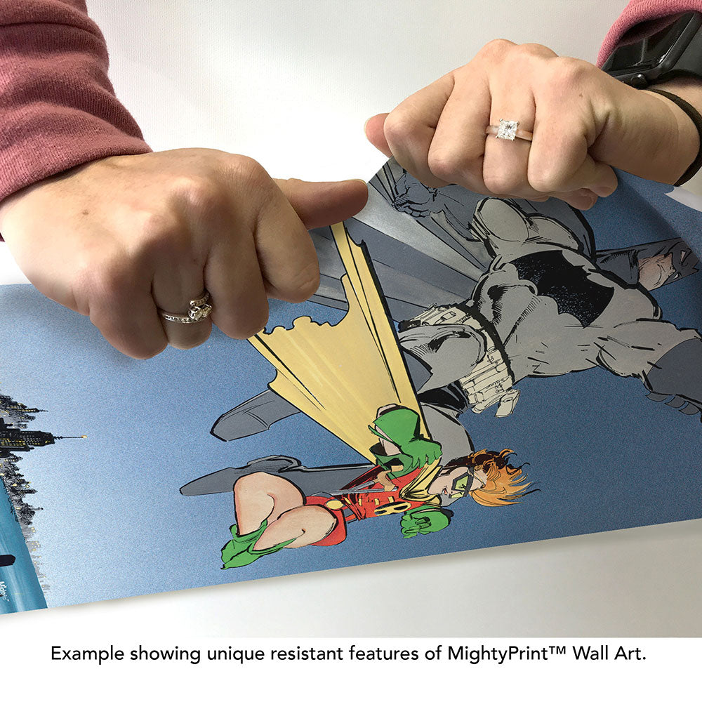 Batman: The Dark Knight Returns (Batman and Robin Over Gotham) MightyPrint™ Wall Art MP17241151